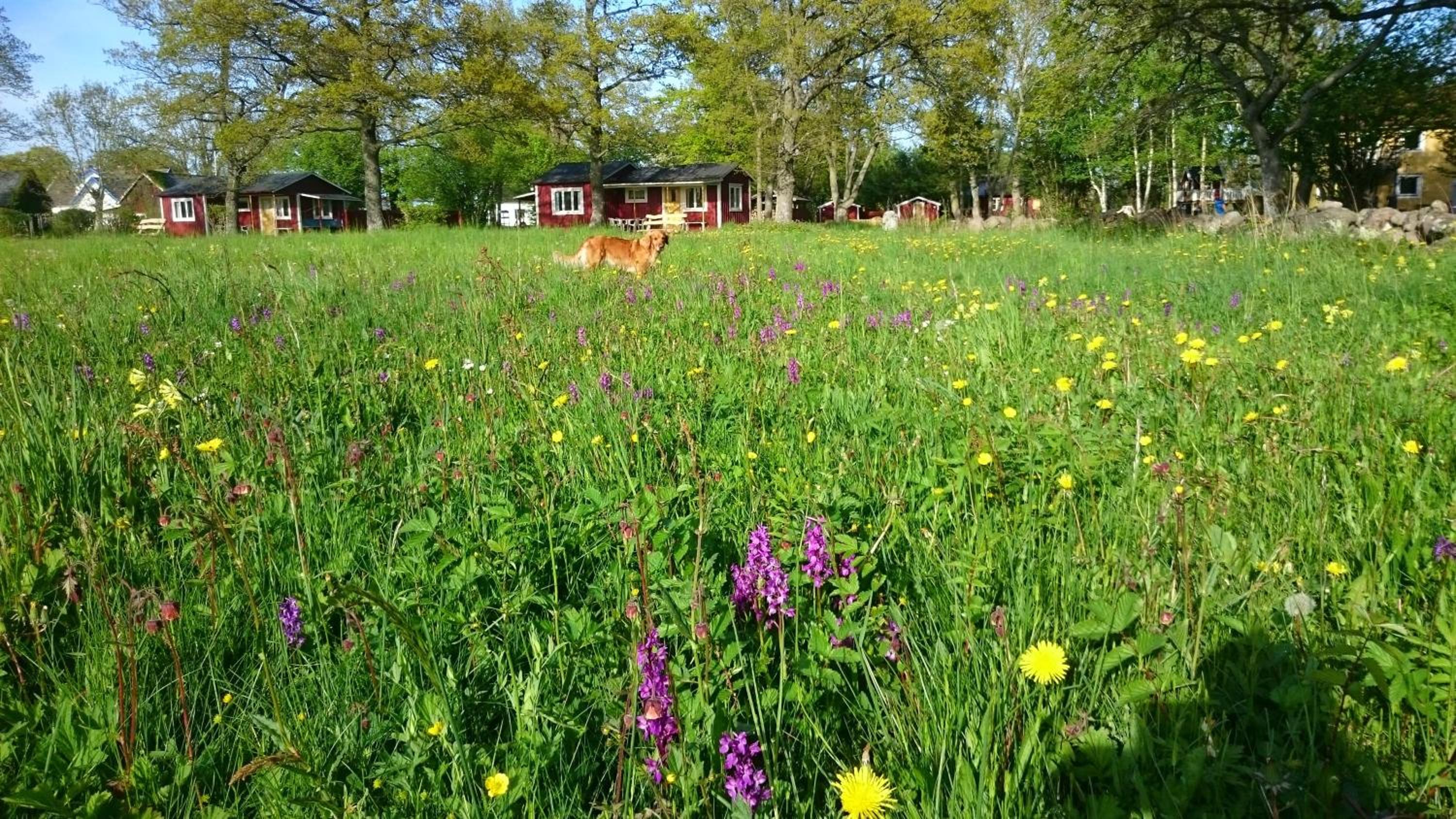 Lantgården Hagaby