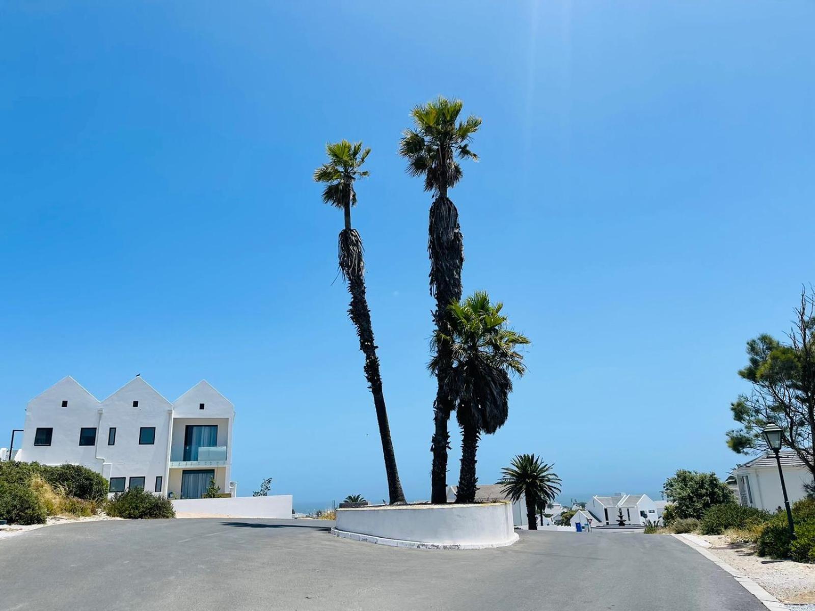 Paradise Palms