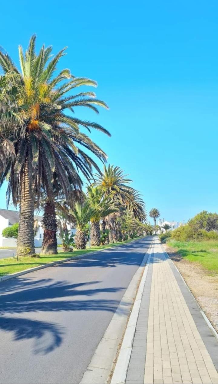 Paradise Palms