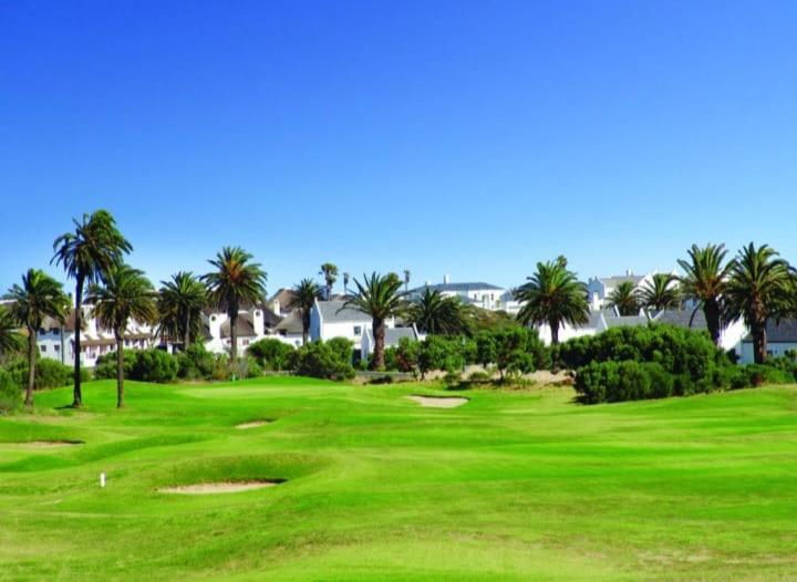 Paradise Palms