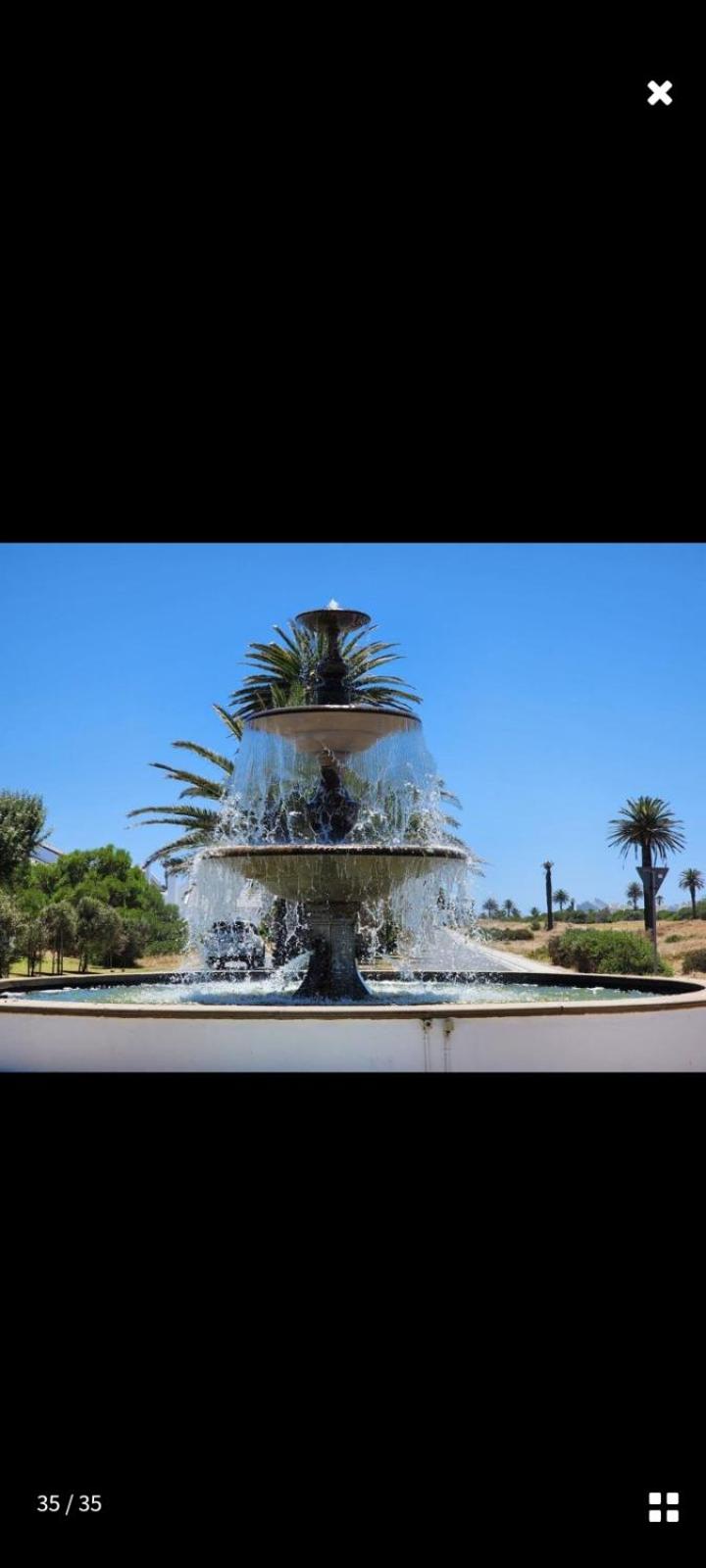 Paradise Palms