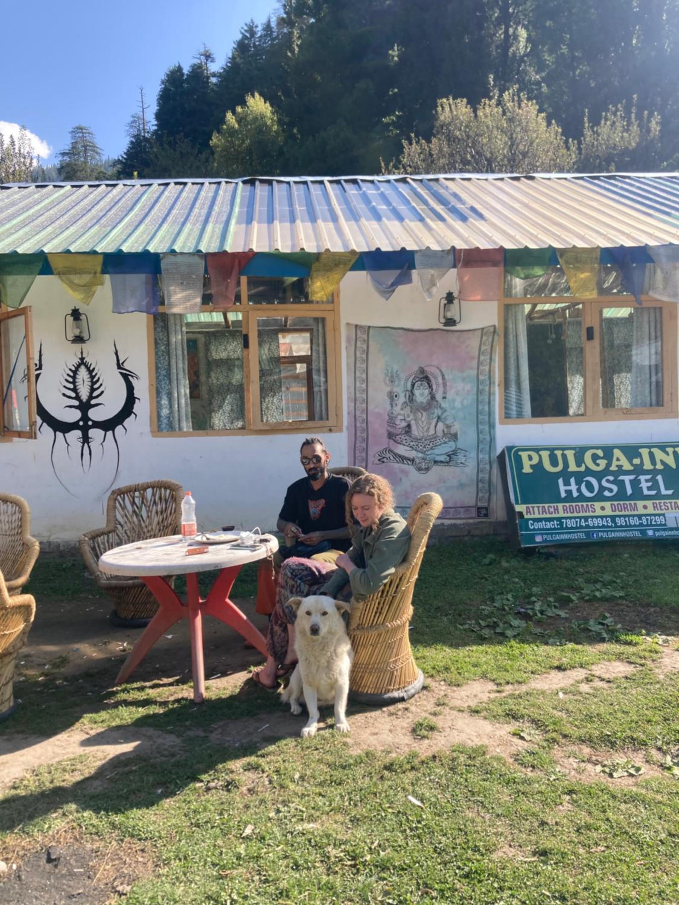 Pulga In view 5