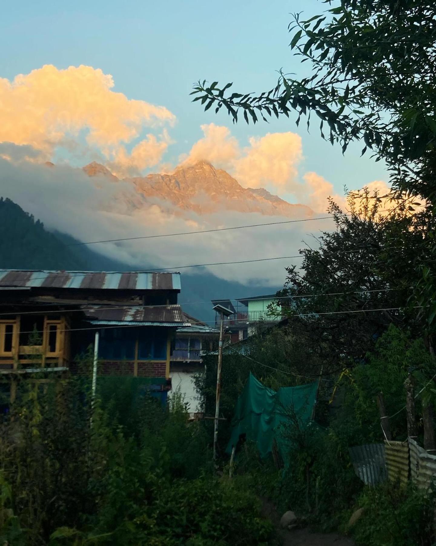 Pulga In view 4