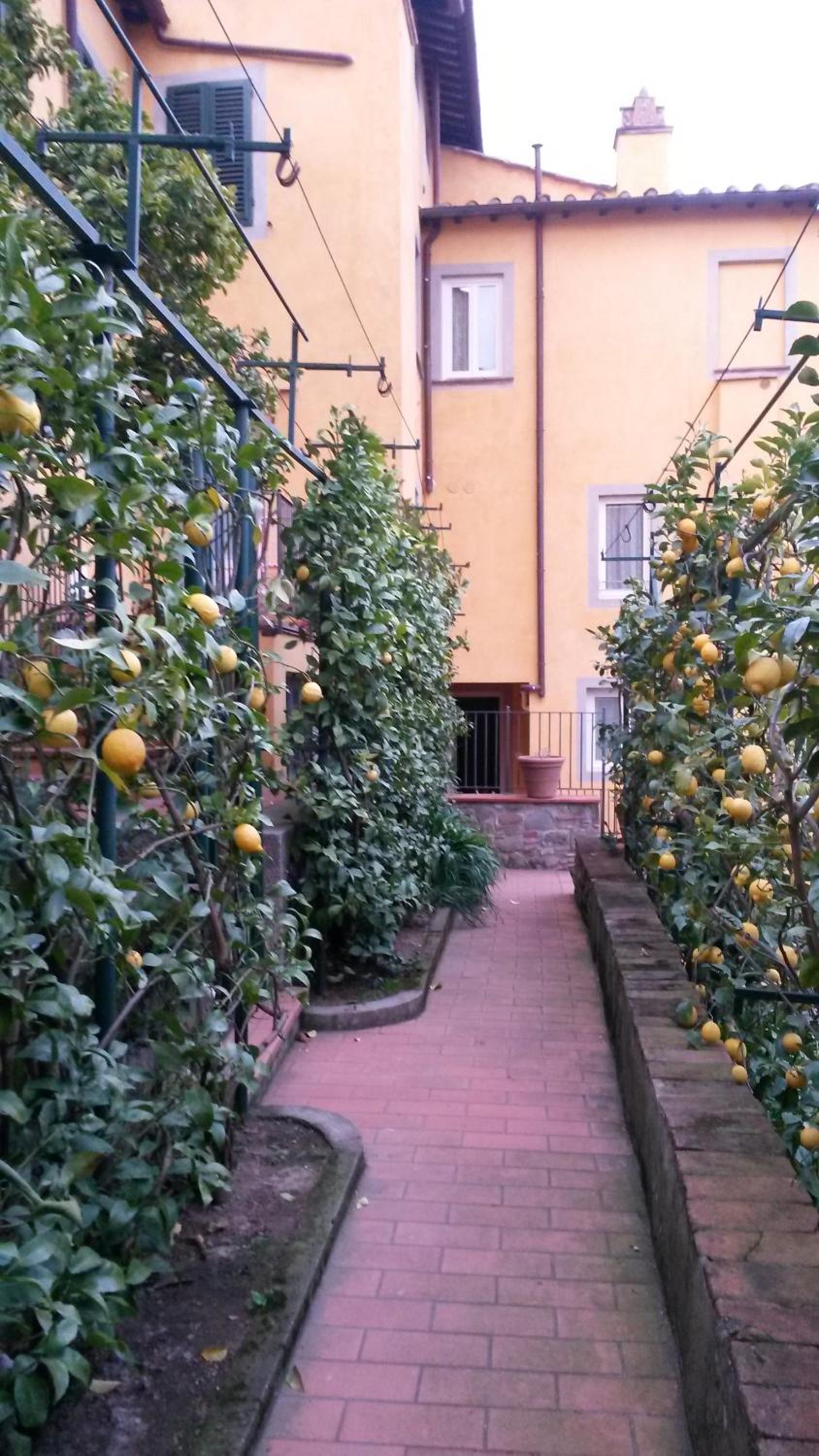 Holiday Home Il Borgo Degli Agrumi, photo 100