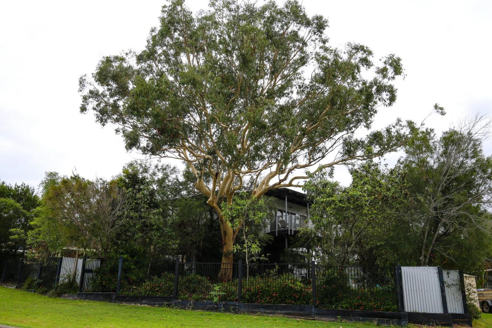 4 Coolberry Court - Rainbow Beach. Swimming pool