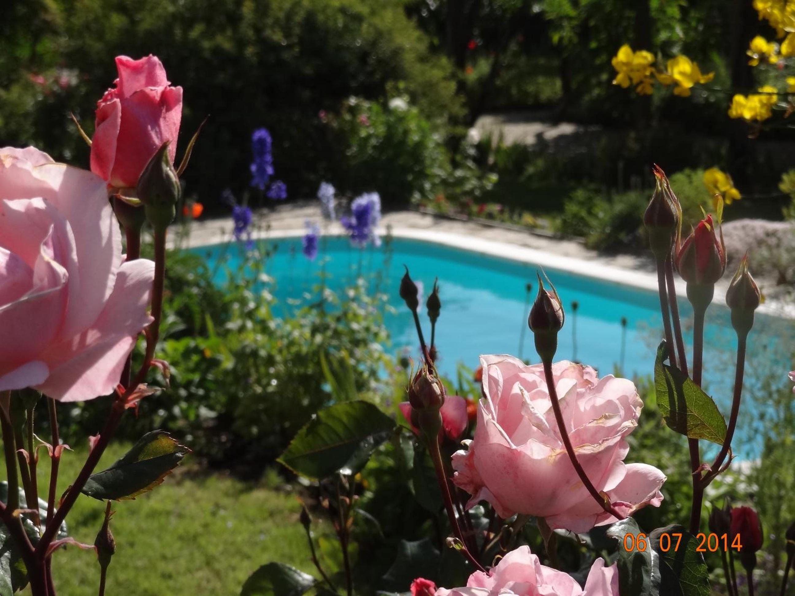 Photo 9
