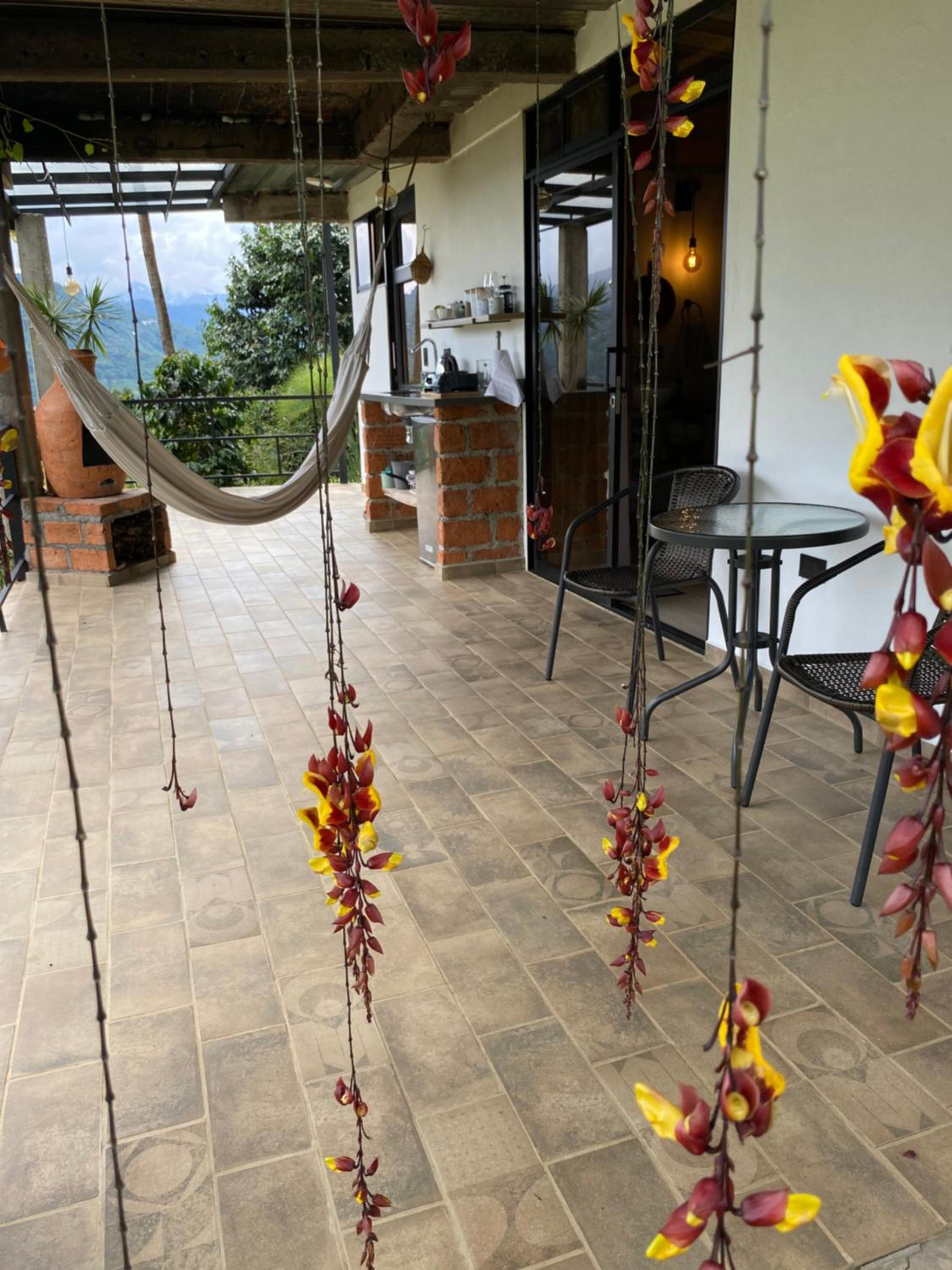 Montecafé Jardín