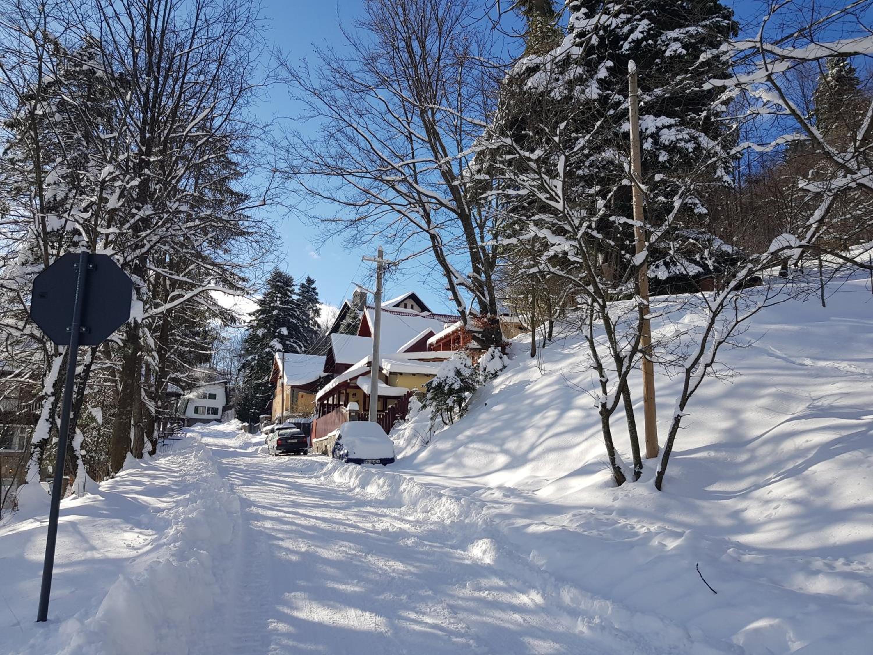 Casa de Vacanta Razvan si Andrei view 5