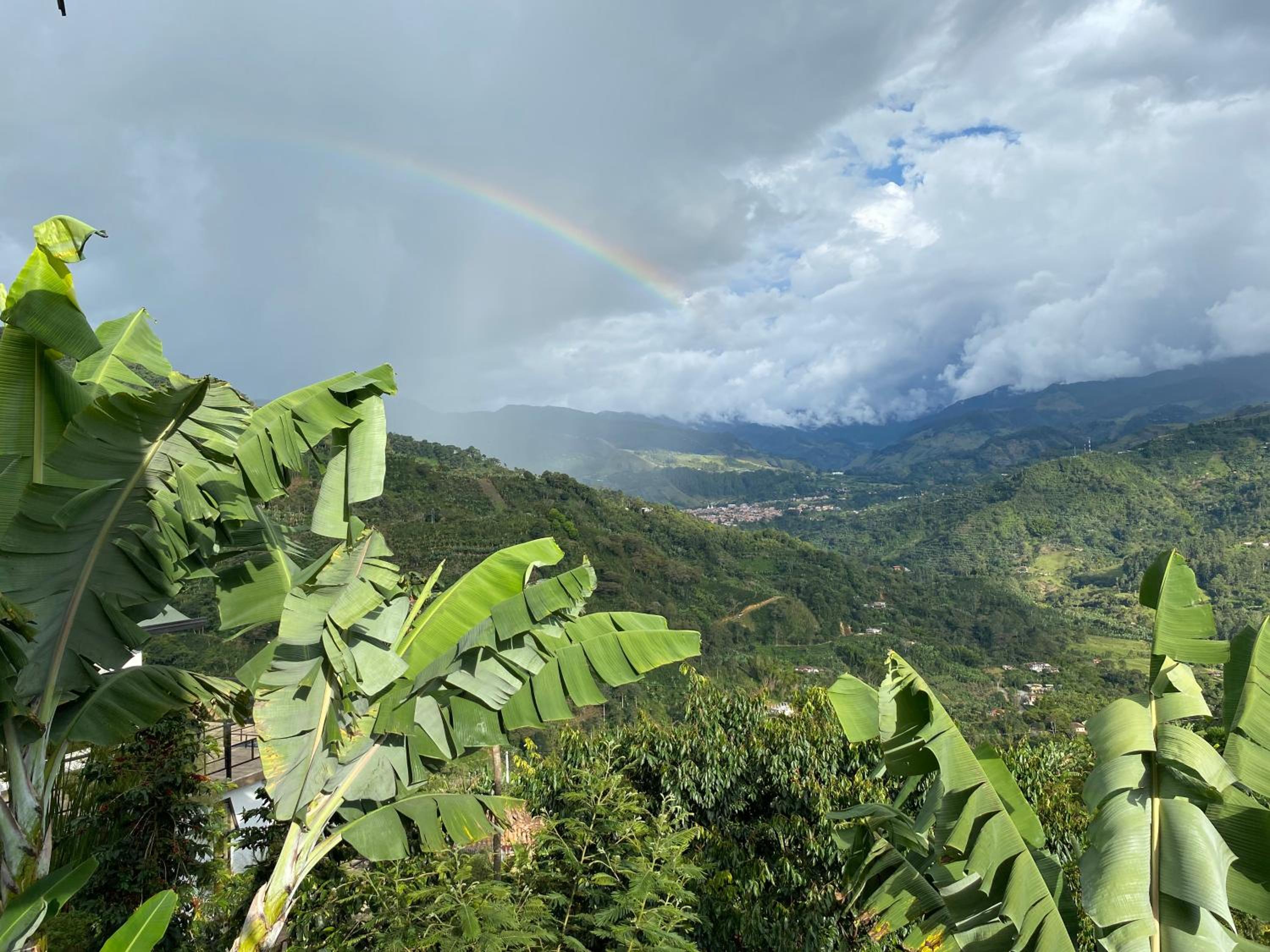 Montecafé Jardín