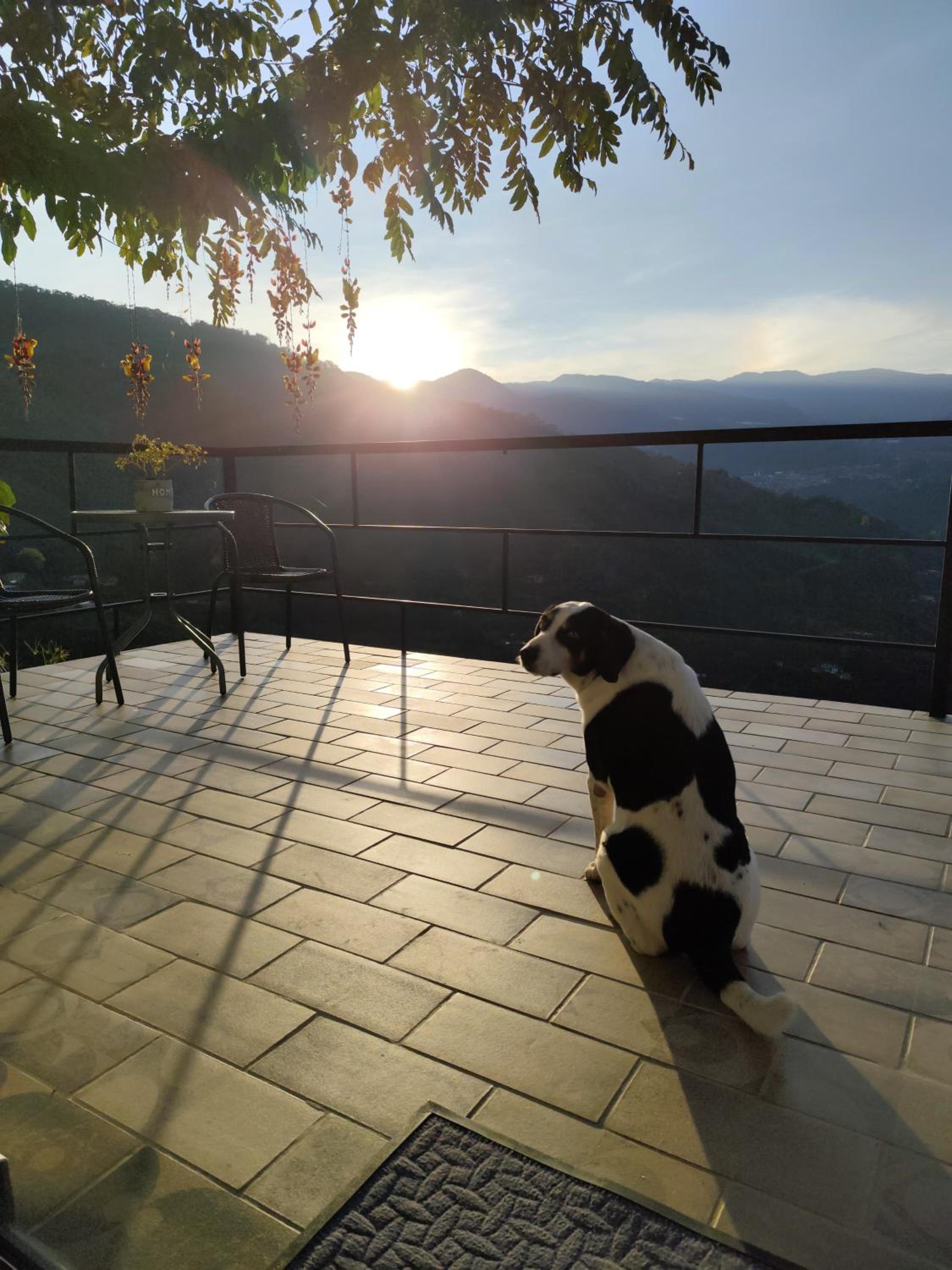 Montecafé Jardín