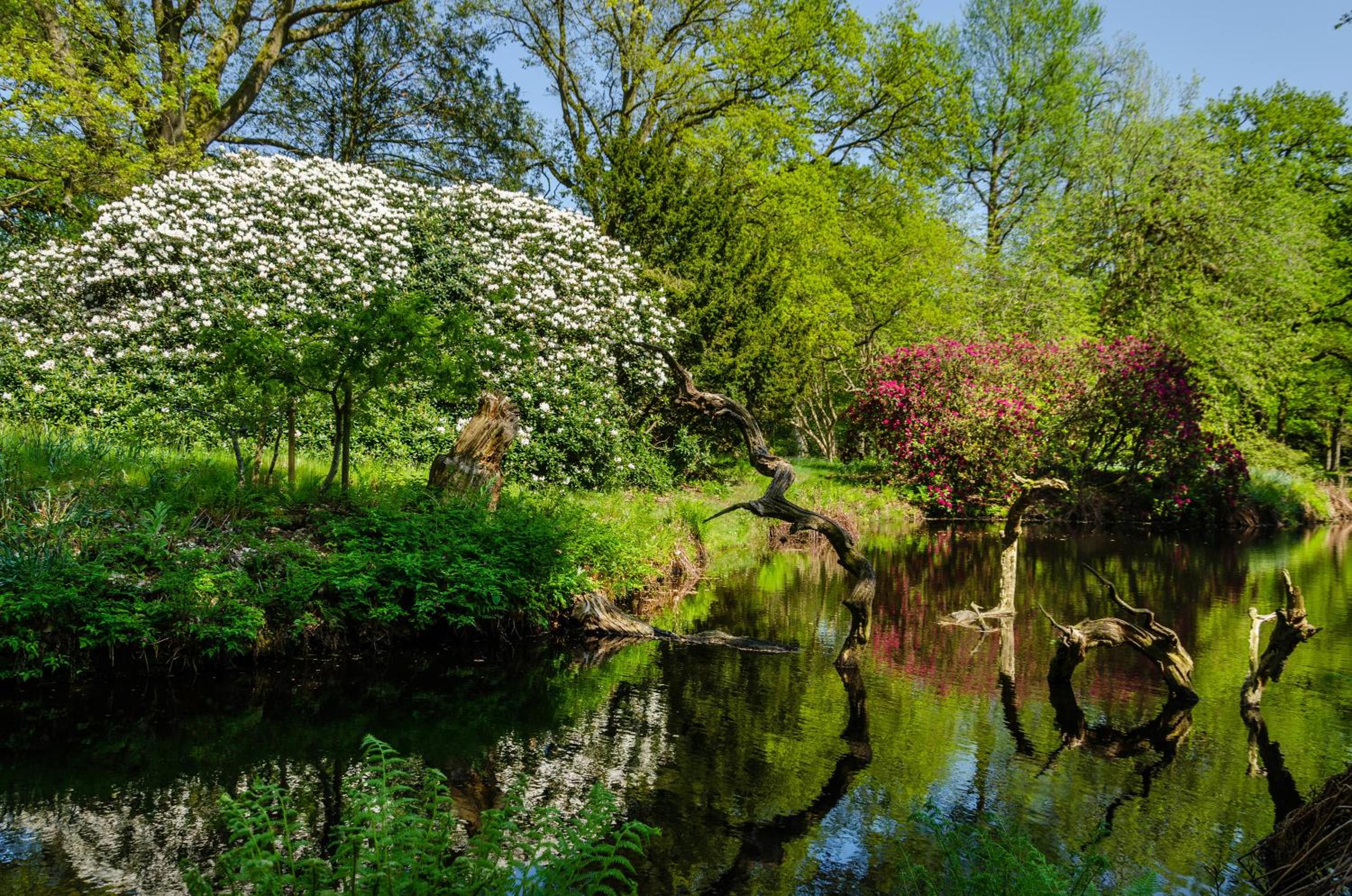 Schlossblick