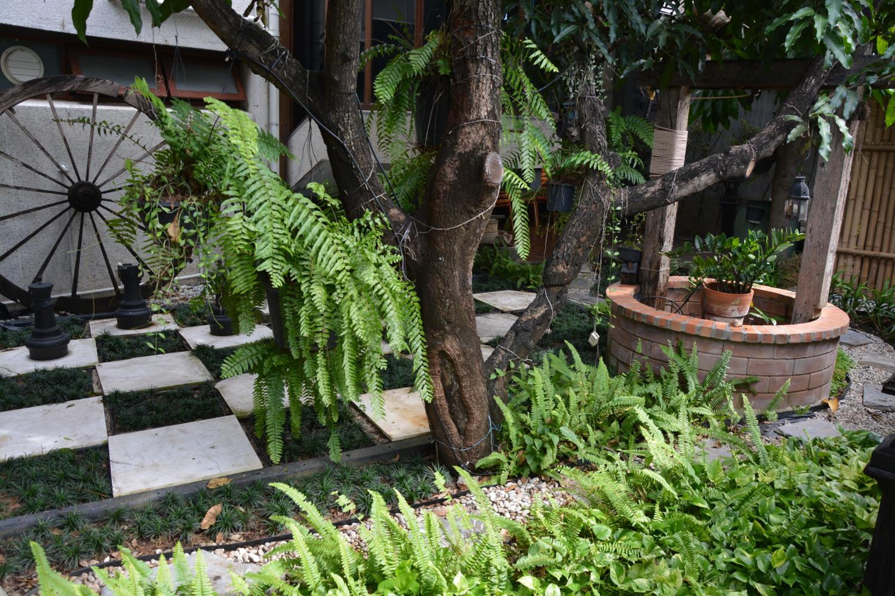 Narra House Sukhumvit58