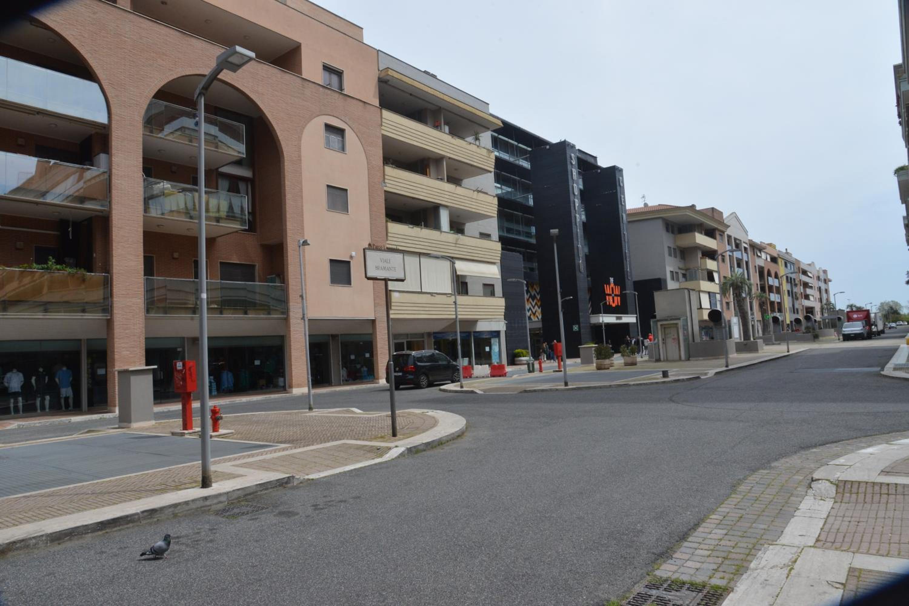 Luciana Apt - 3 min train to FCO Airport & Fiera