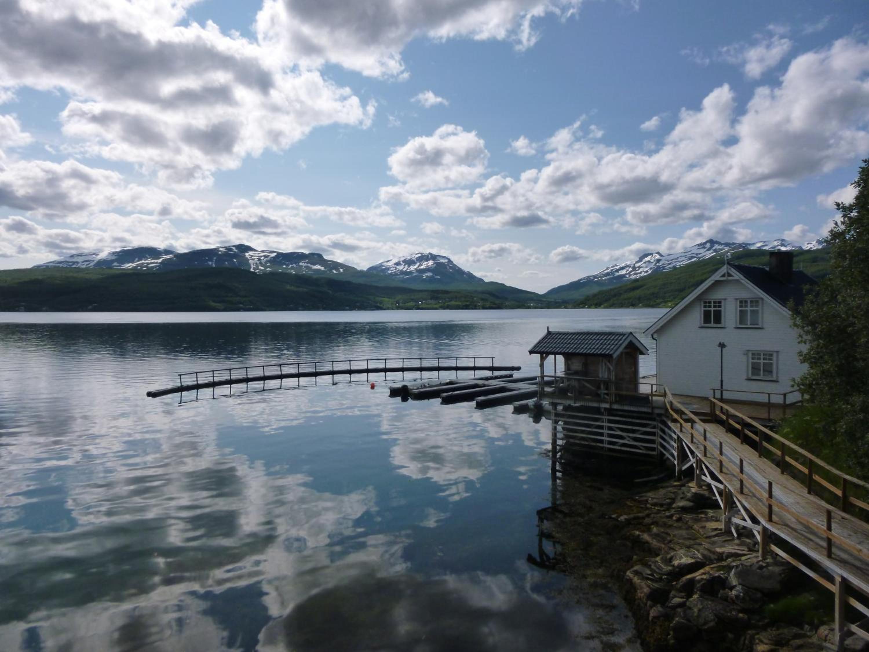 Furoy Hotel Apartments and Boating