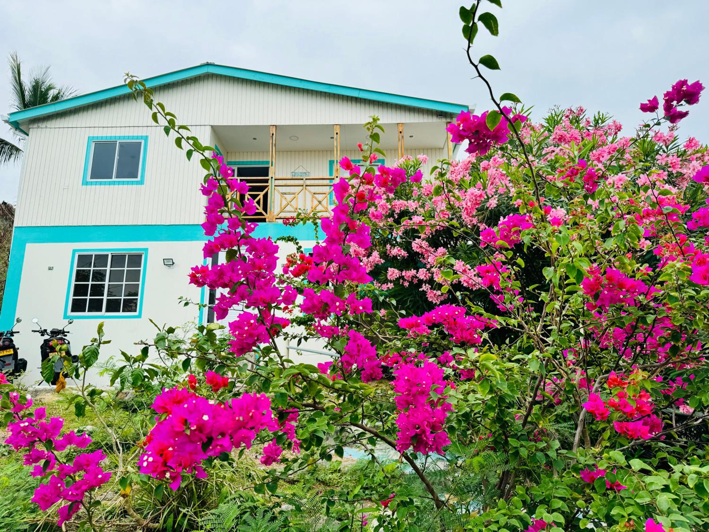 Colorful Garden House