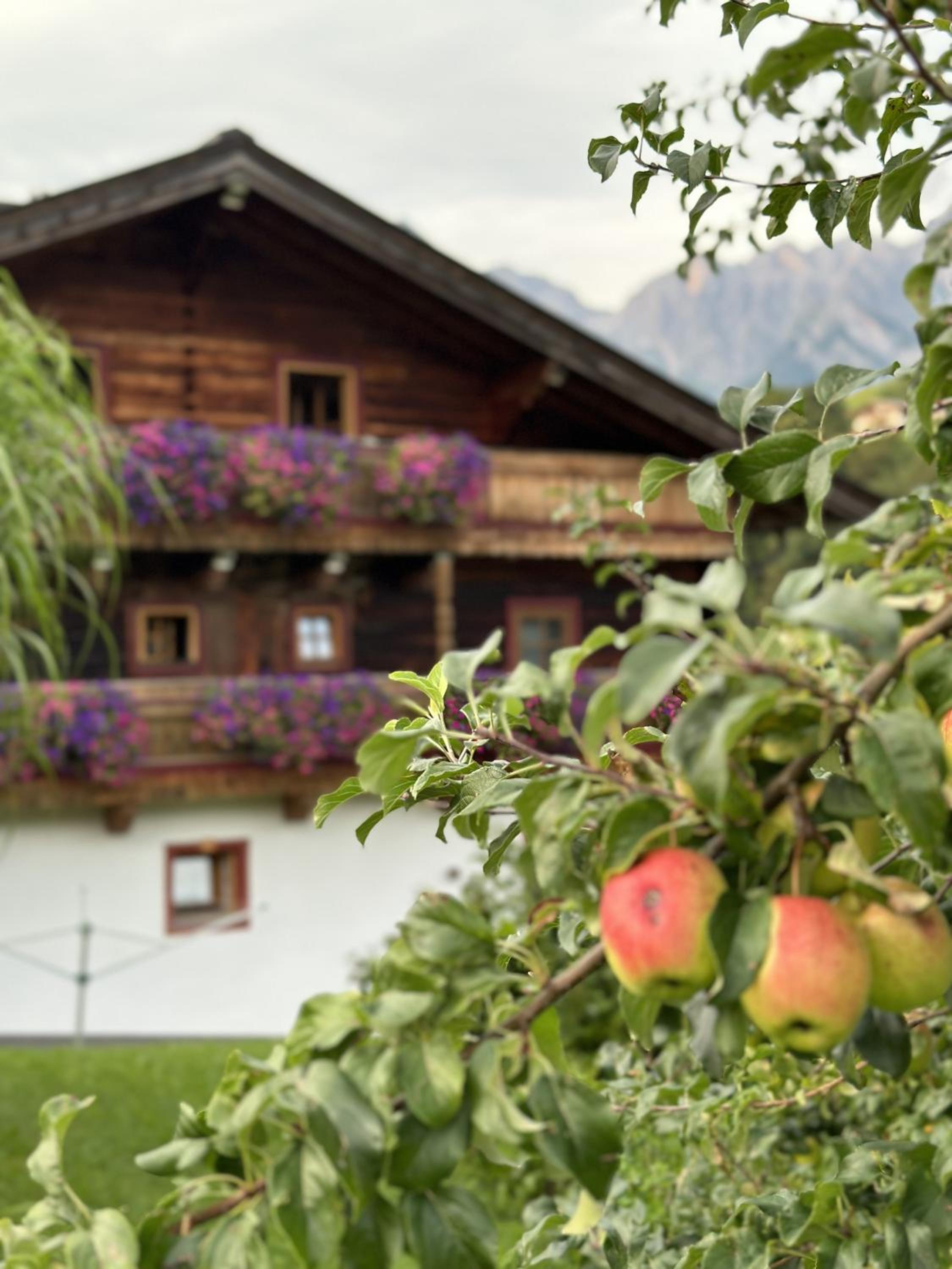 Ferienwohnung Langeck