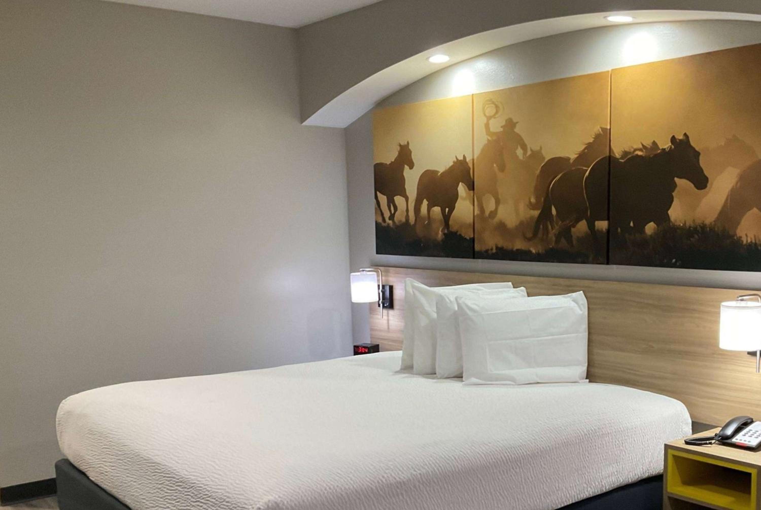 Days Inn by Wyndham Humble/Houston Intercontinental Airport - Property Image 58
