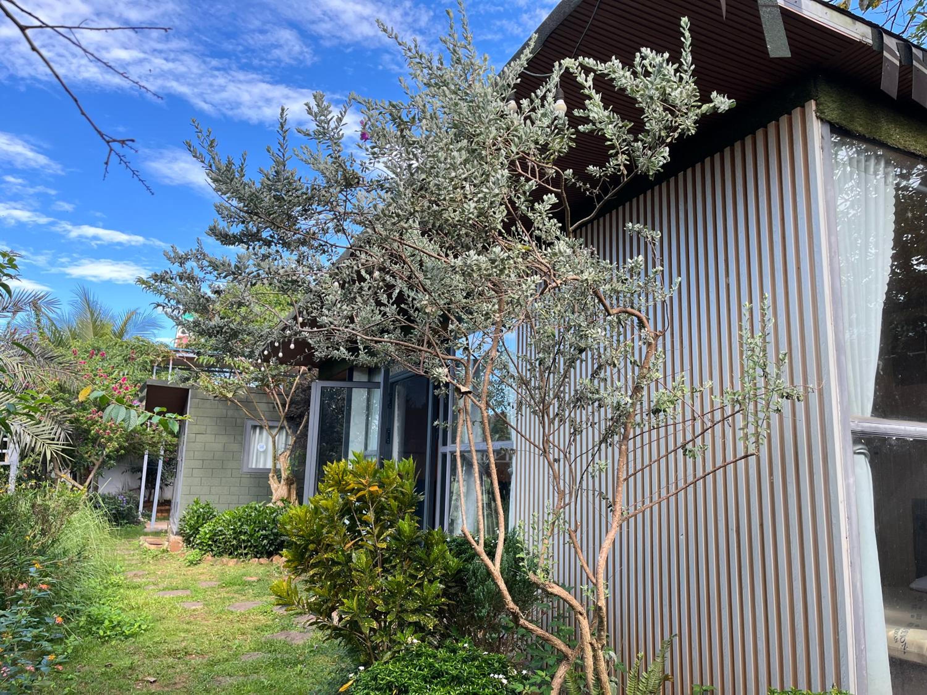 Active Homestay