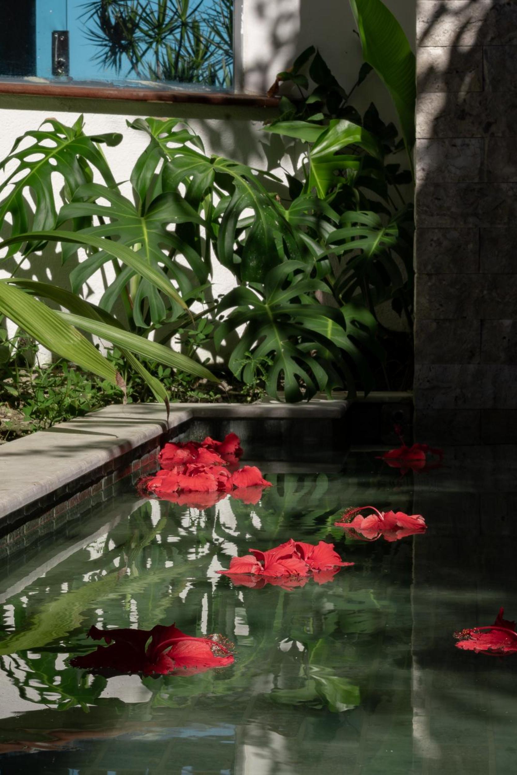 AZORAI - Hotel Boutique