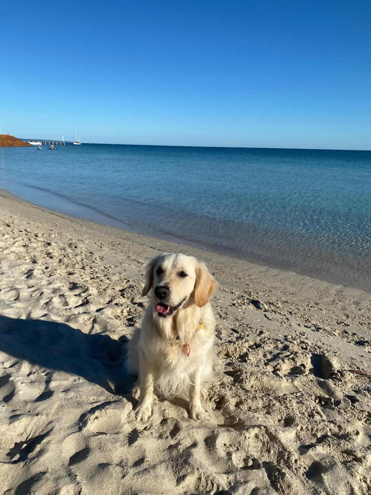 Beachfront Bliss, waterfront Geographe bay