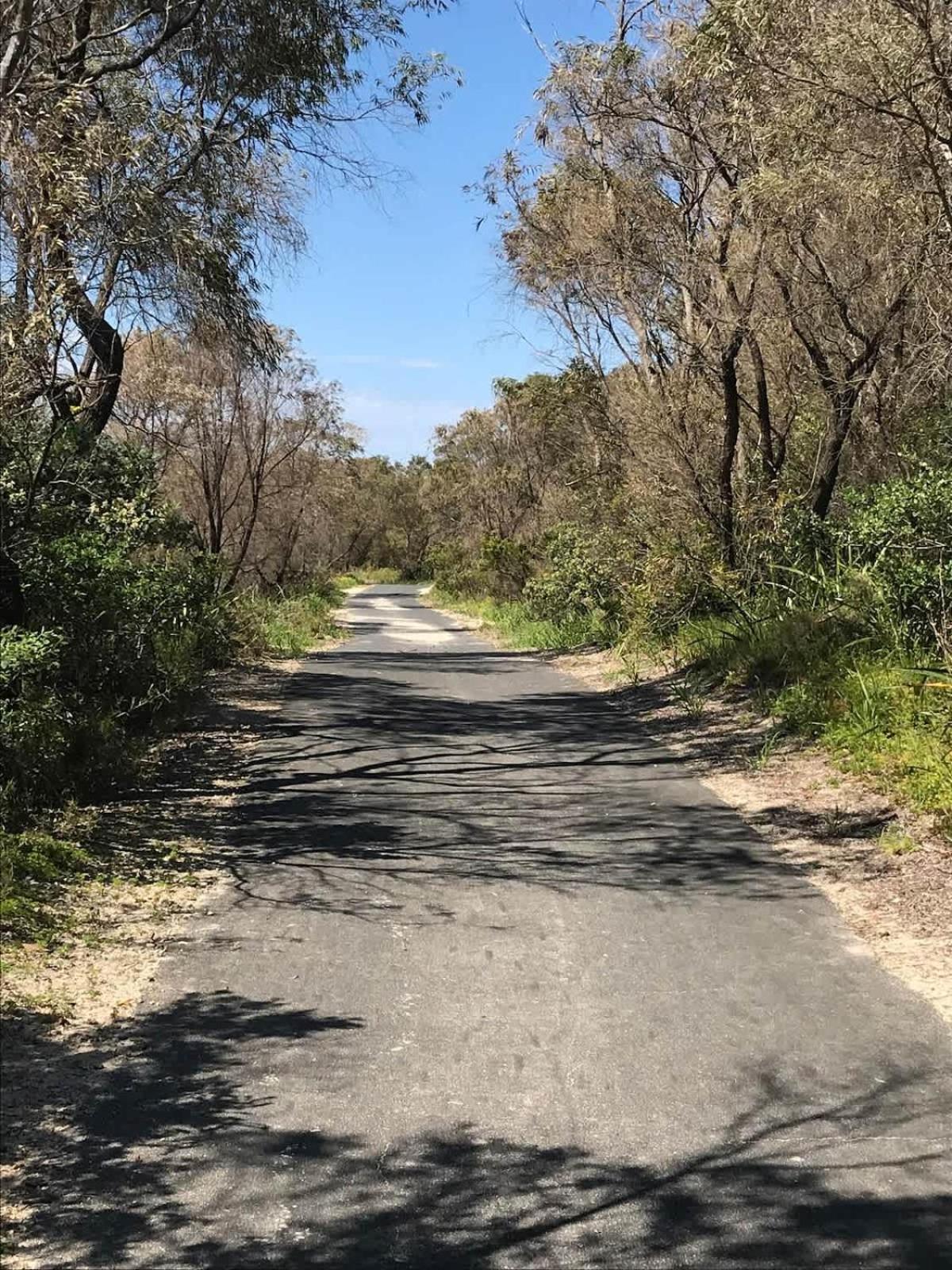 Beachfront Bliss, waterfront Geographe bay