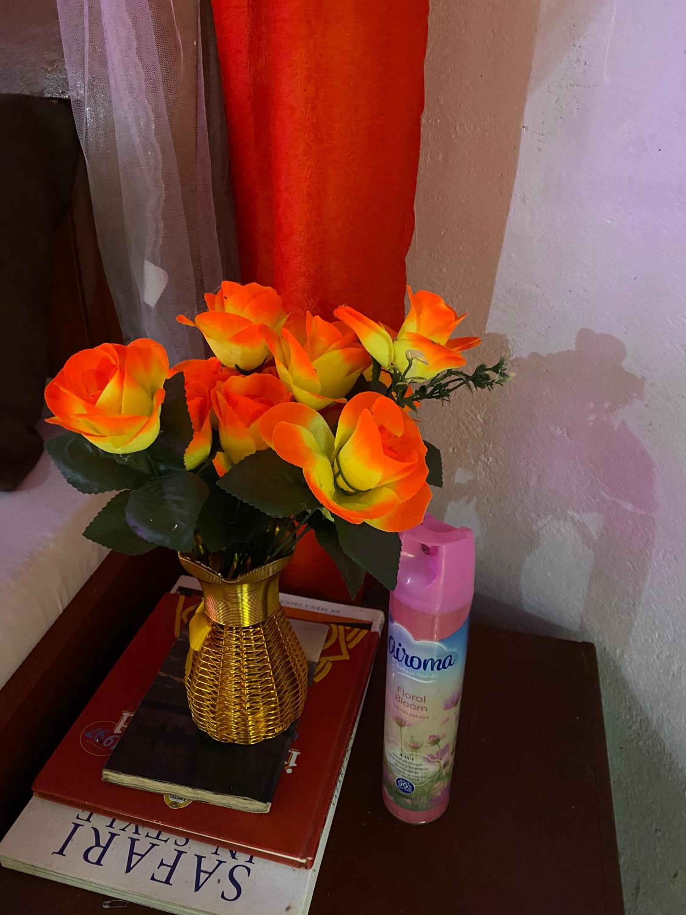 Photo 12