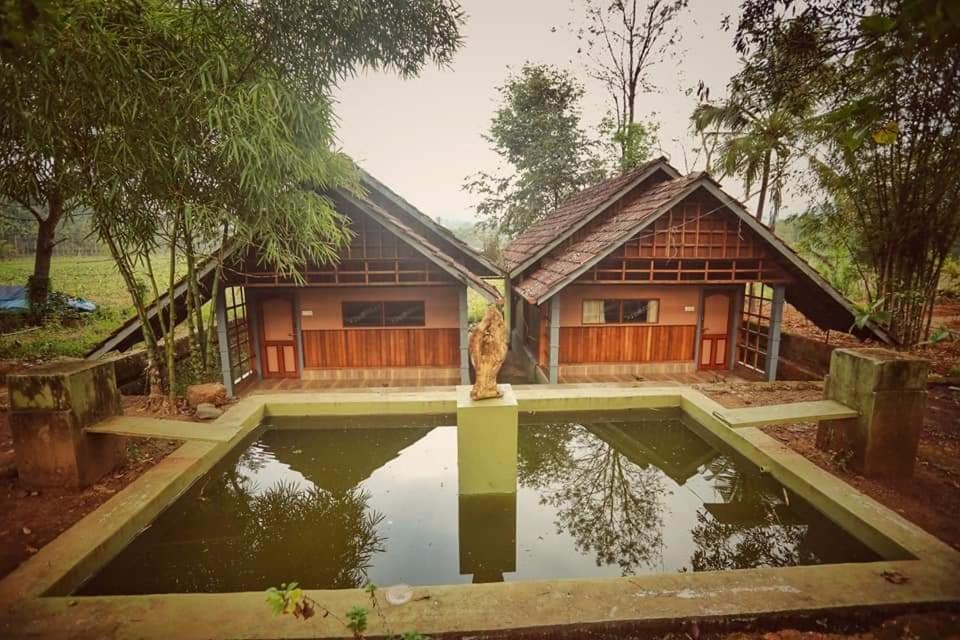 Vattakkuny Wild Orchid Resorts