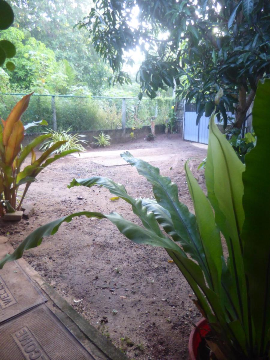 Photo 37