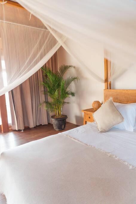 Elegant Wabi-Sabi Villa Near Seseh Beach view 5
