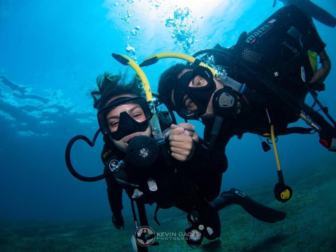 VitaminSea Room