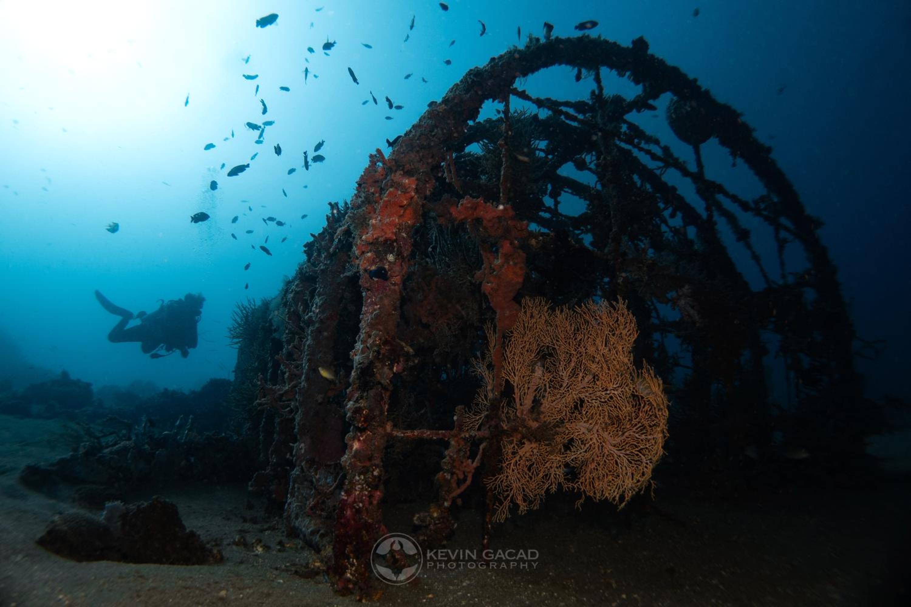 VitaminSea Room