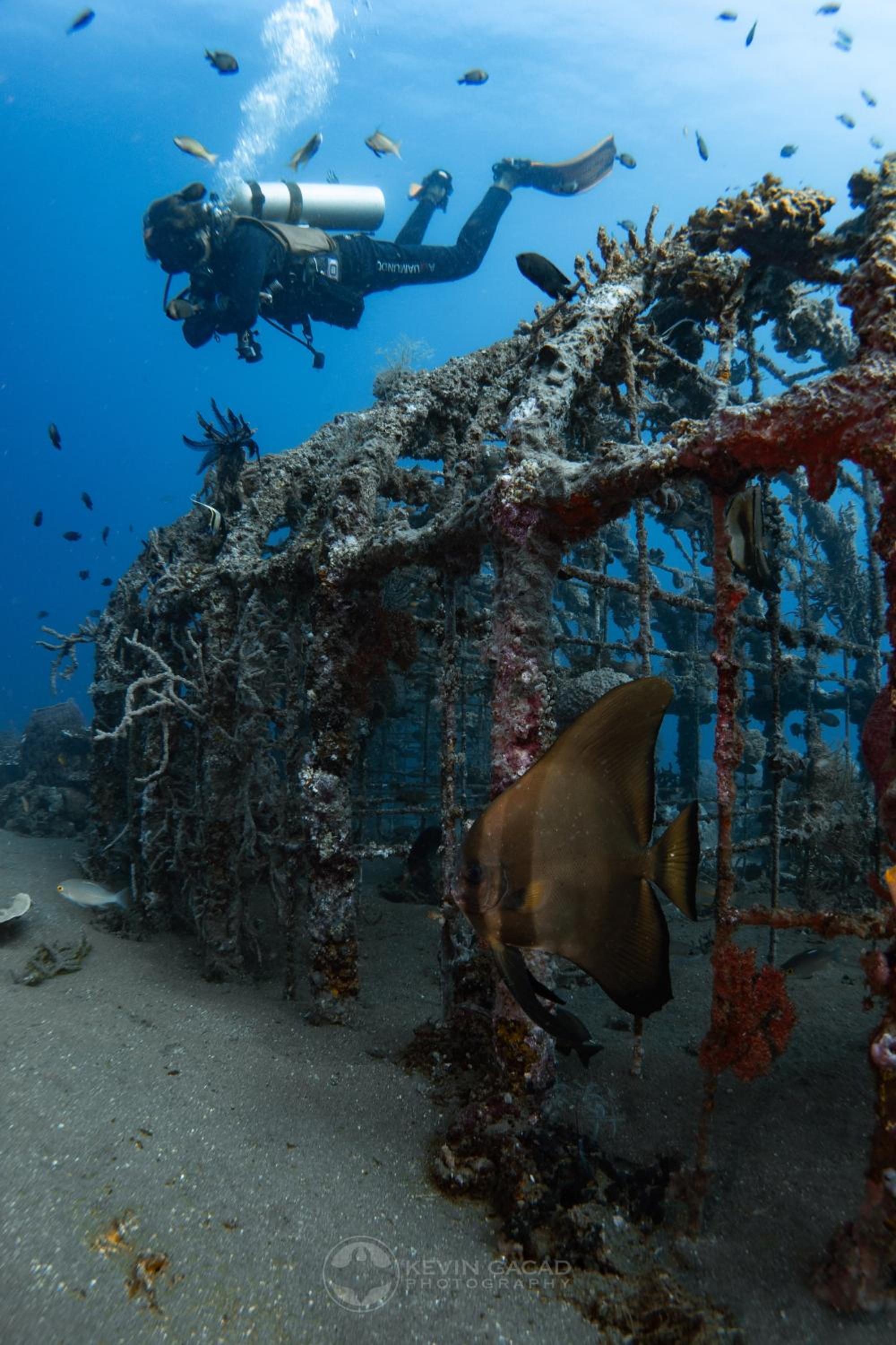 VitaminSea Room