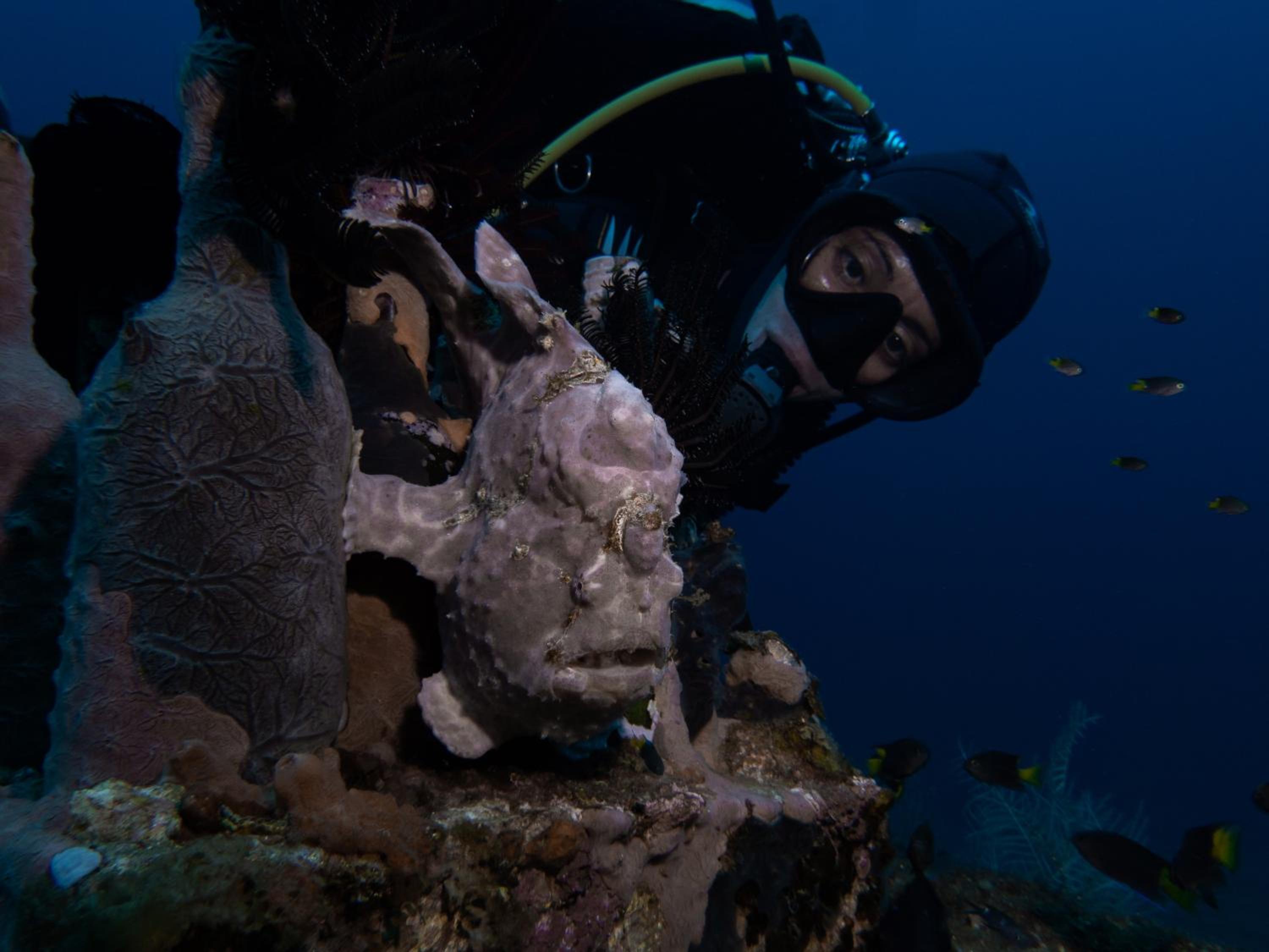 VitaminSea Room