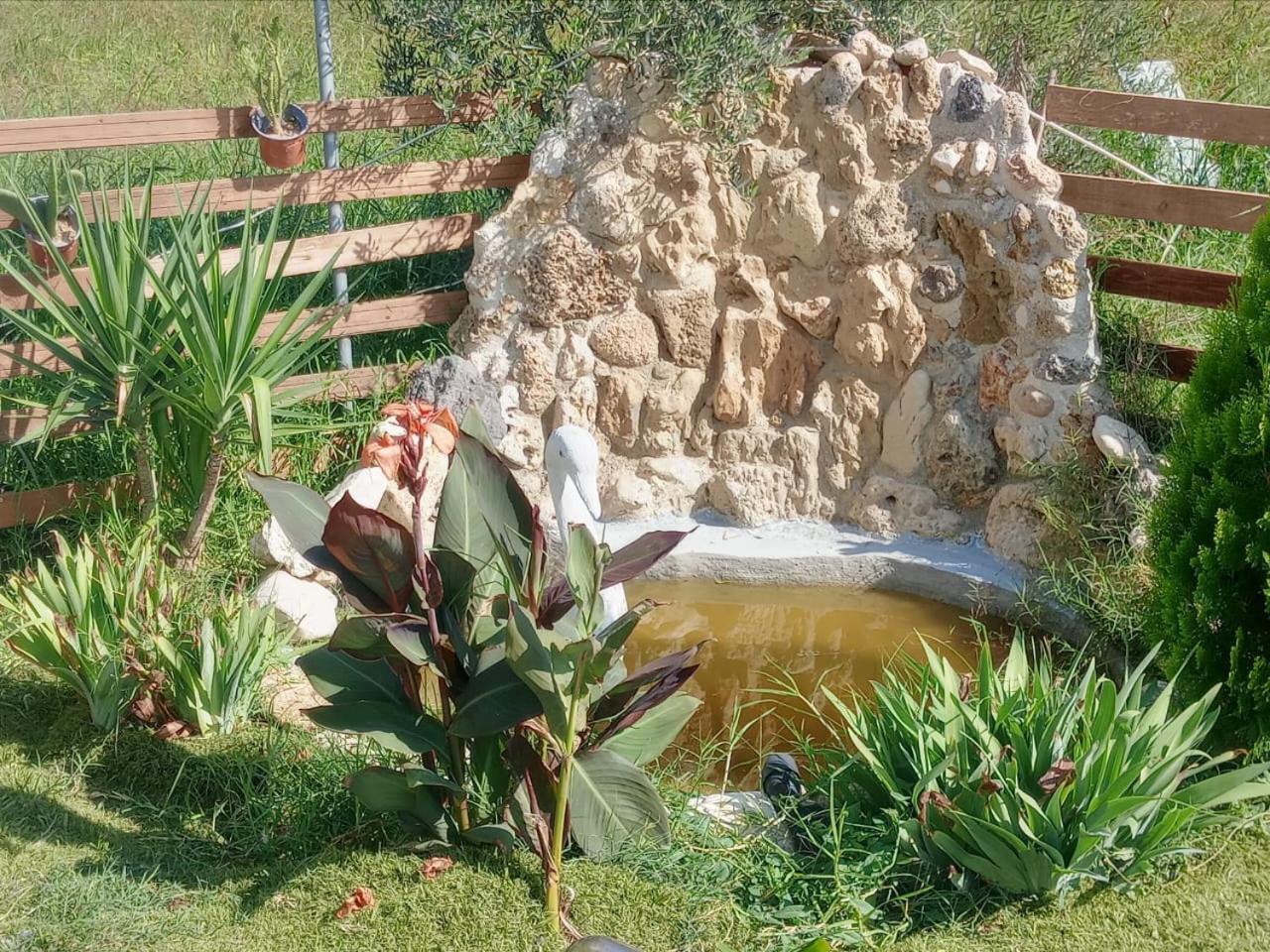 Konstantinos holidays house