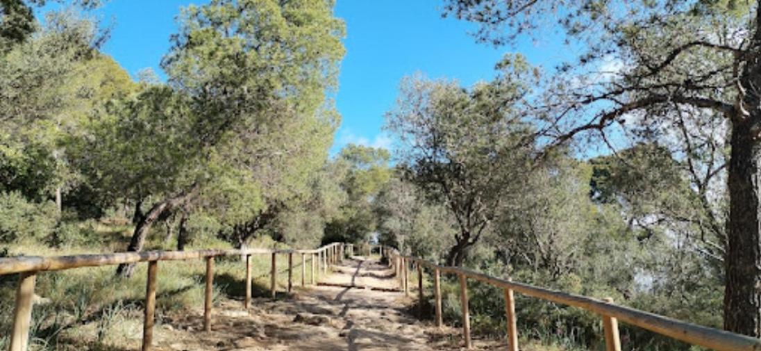 Villa Paloma
