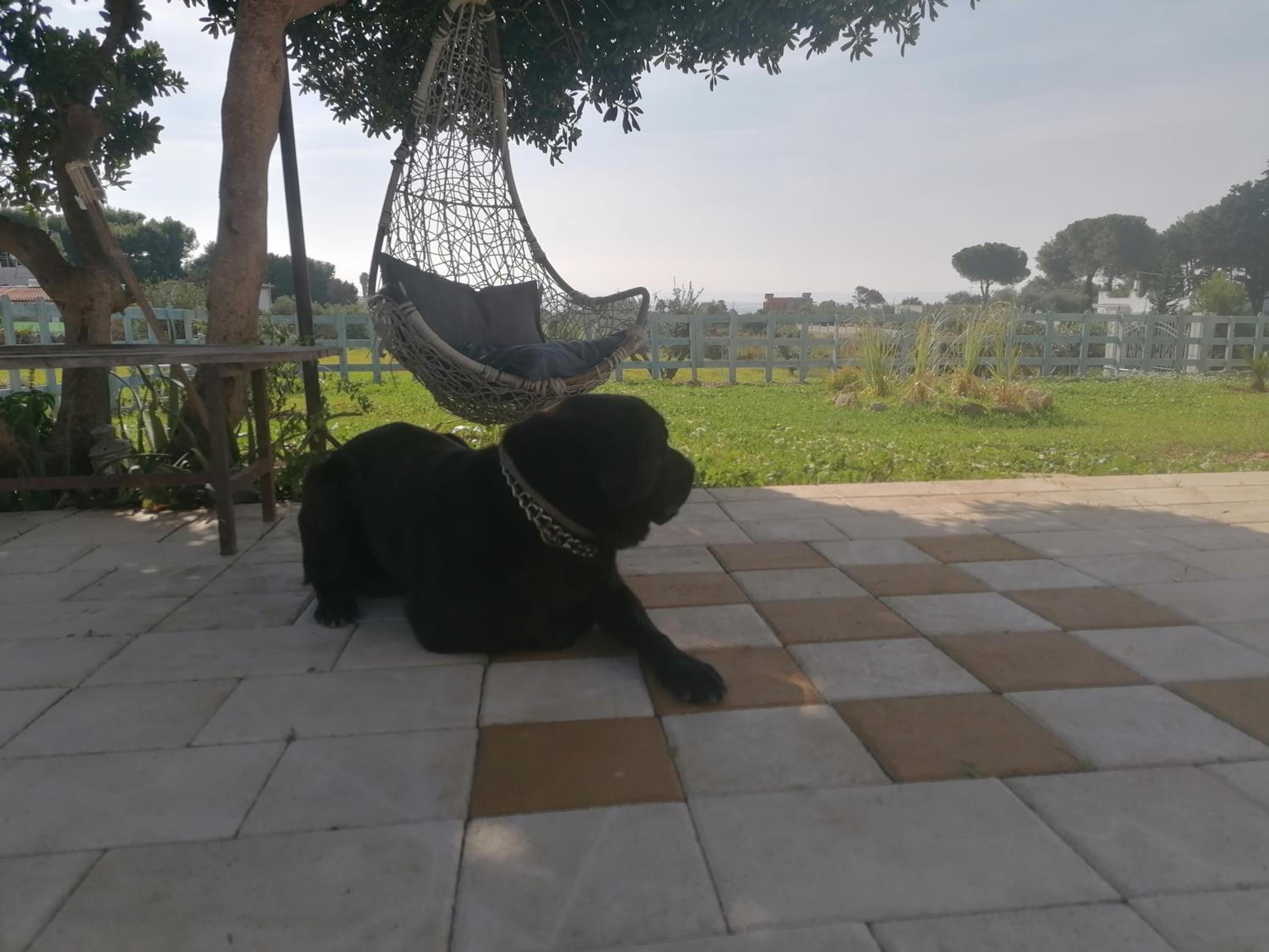 Villa Salentu, Marina di Pulsano