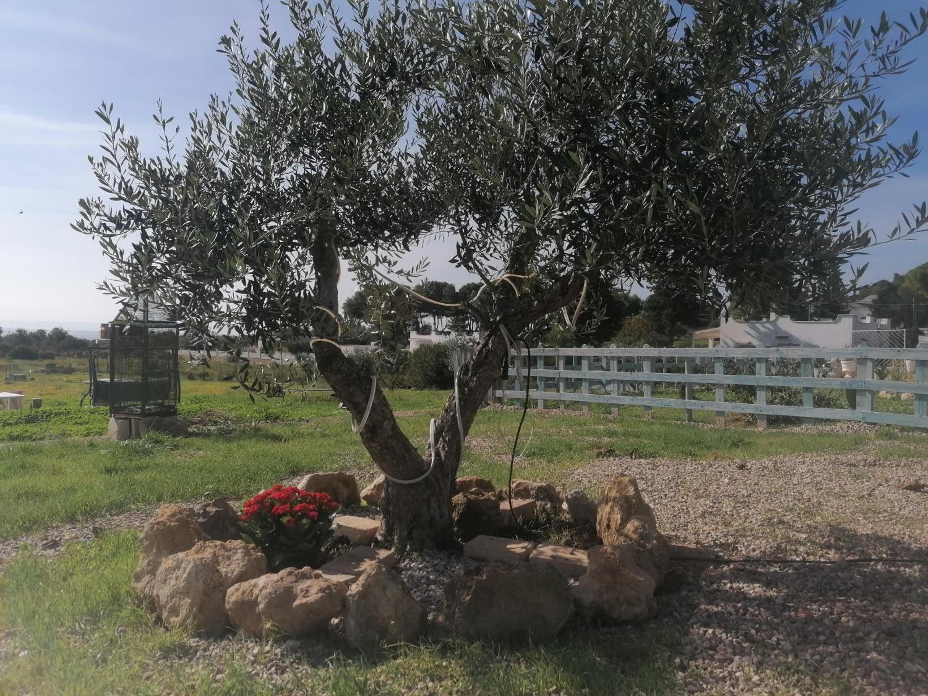 Villa Salentu, Marina di Pulsano