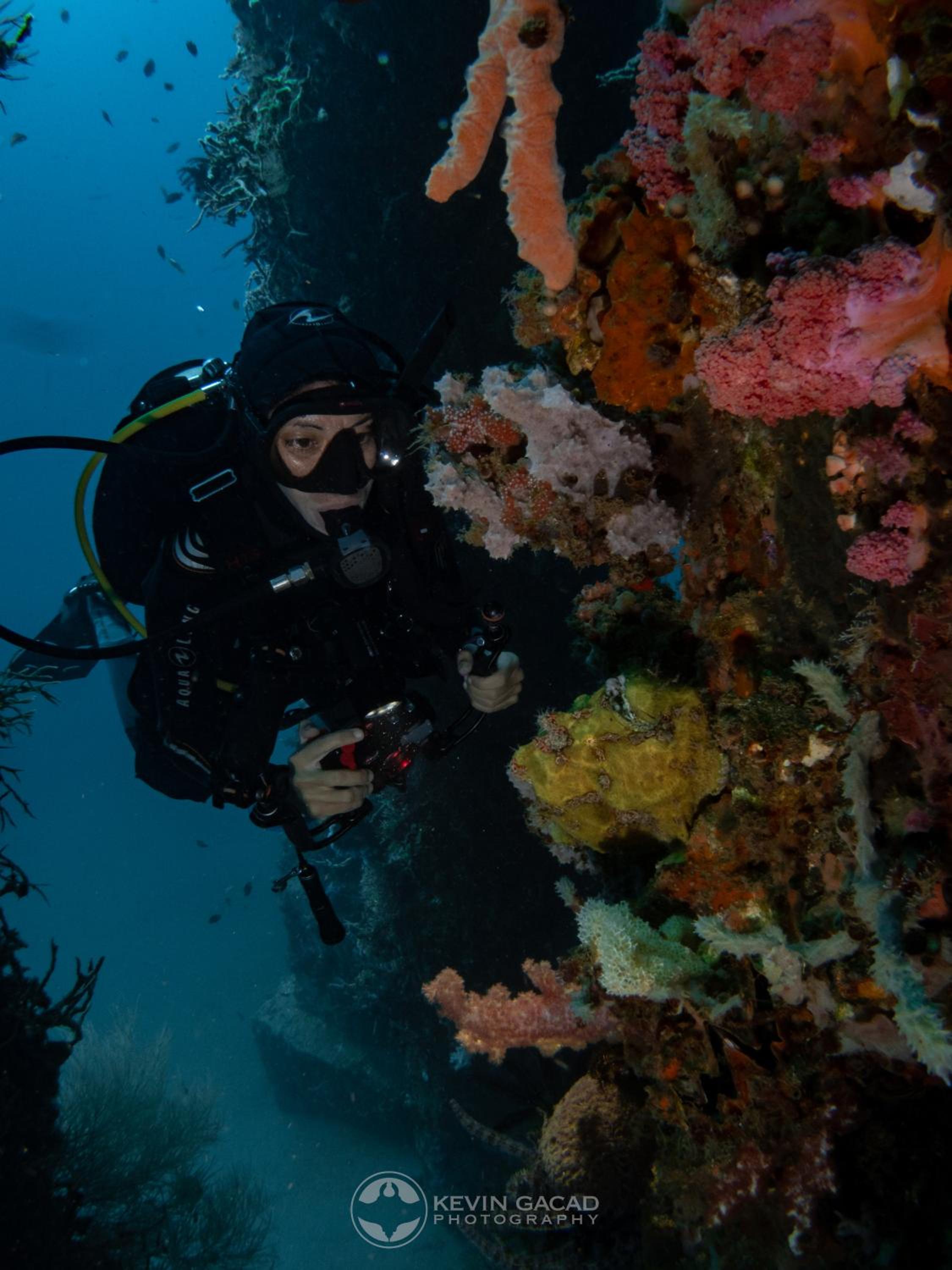 VitaminSea Room