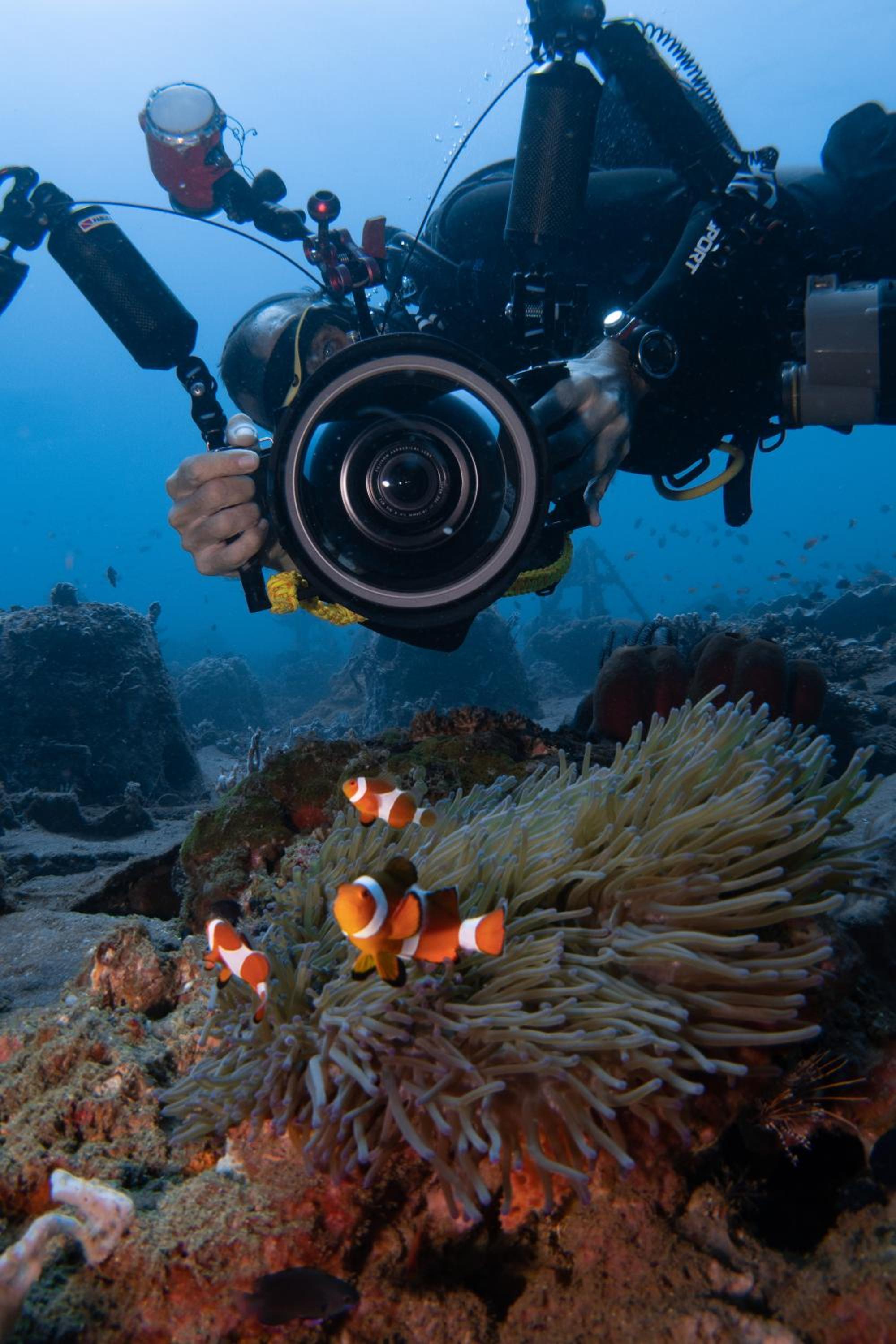 VitaminSea Room