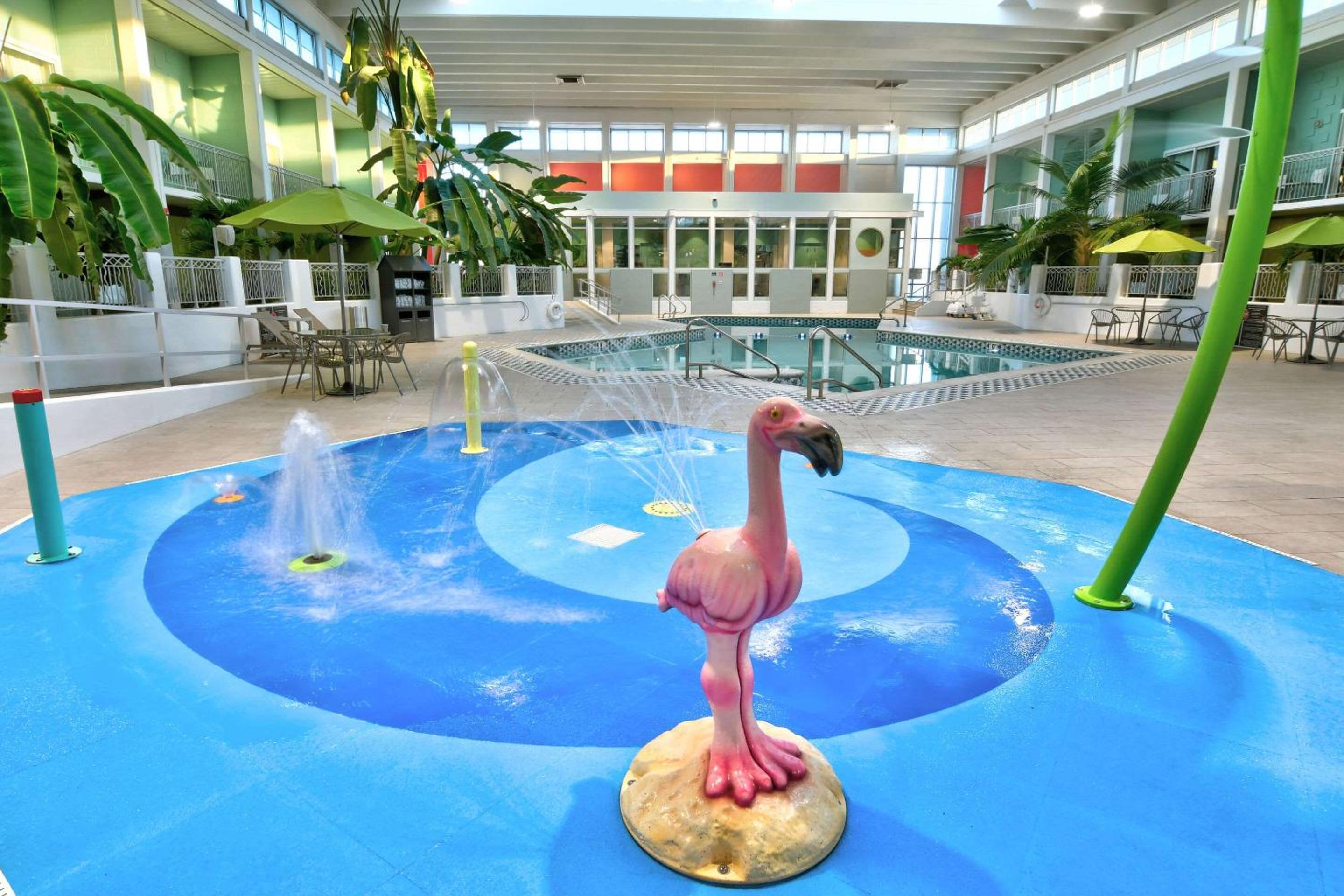 Oasis Hotel and Conv Center, an Ascend Collection Hotel