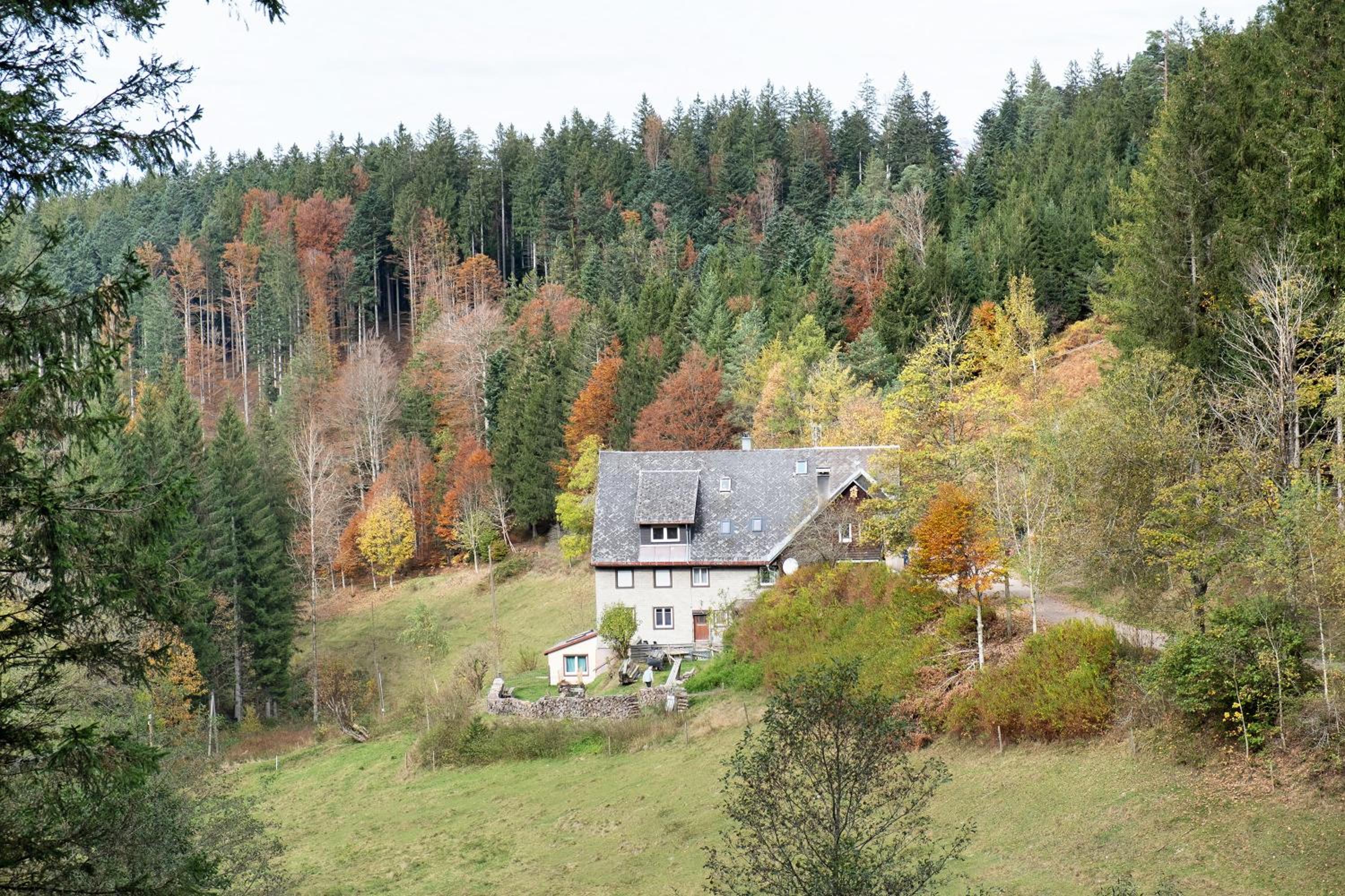 Atelier-Loft im Hübschental