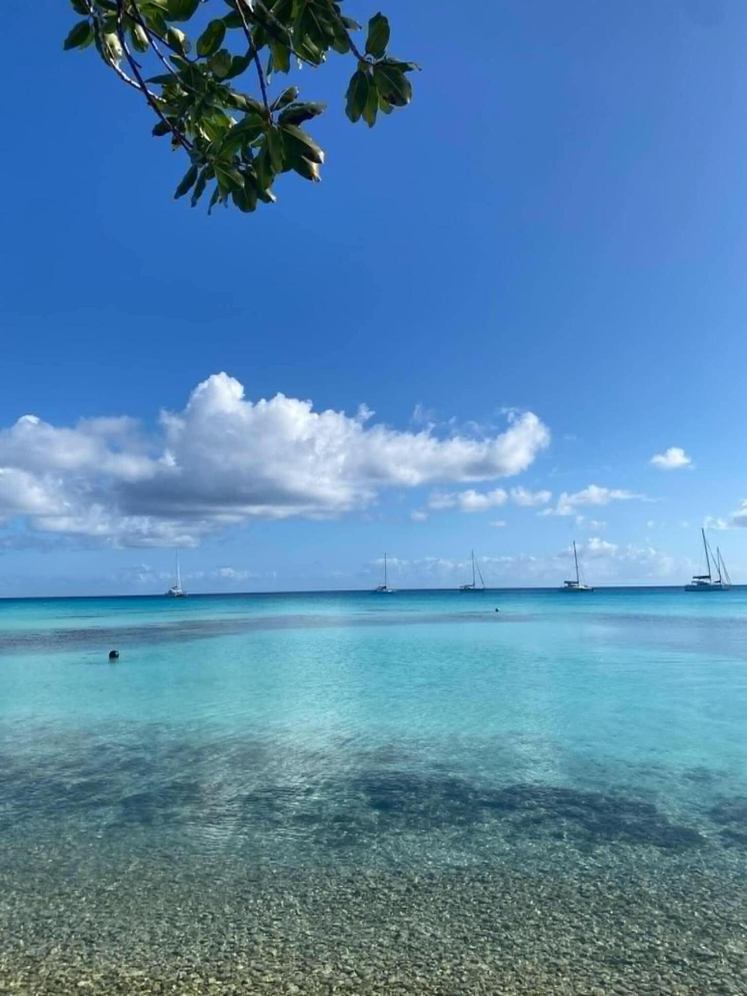 Chez Tamatuamai