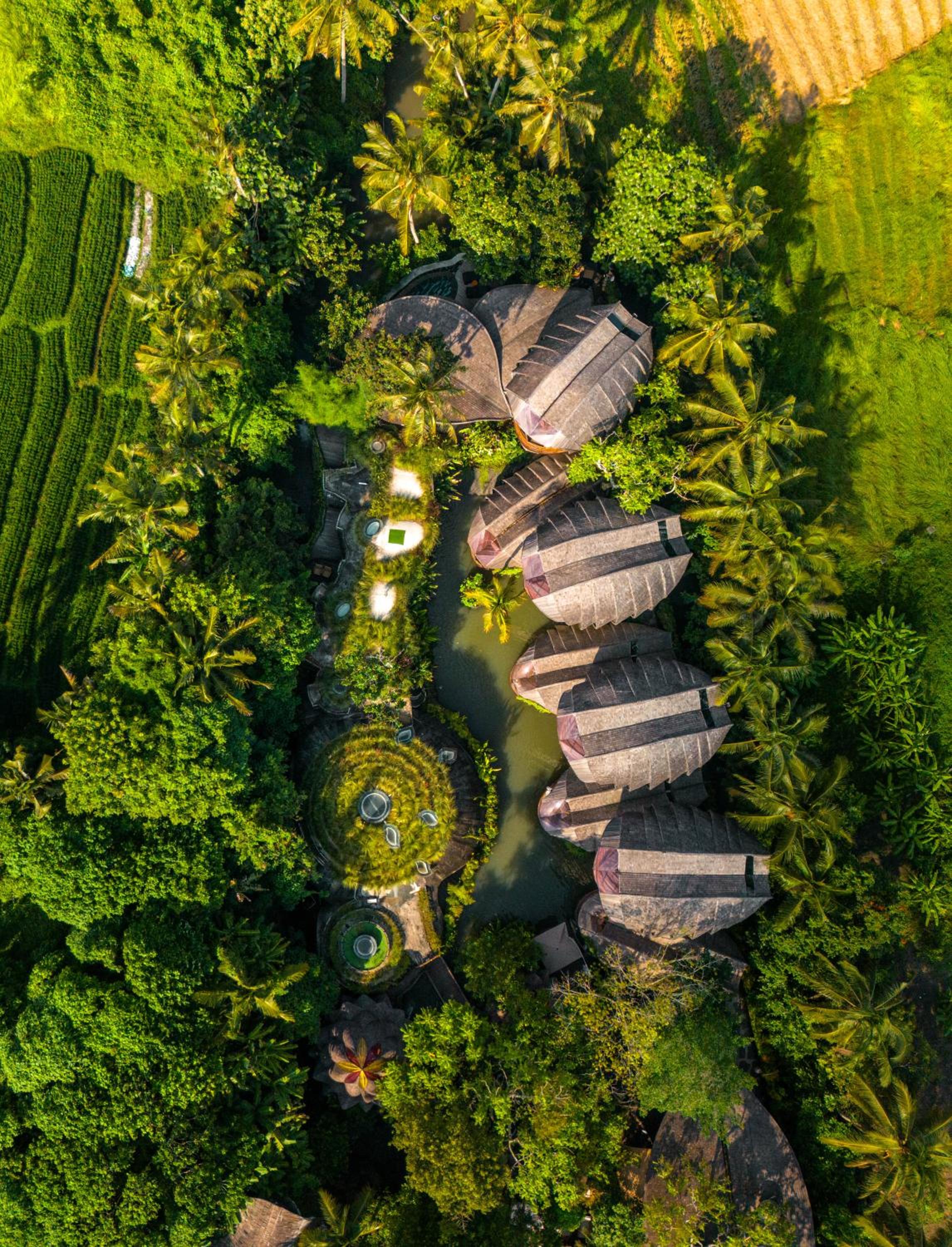 Ulaman Eco Luxury Resort 109