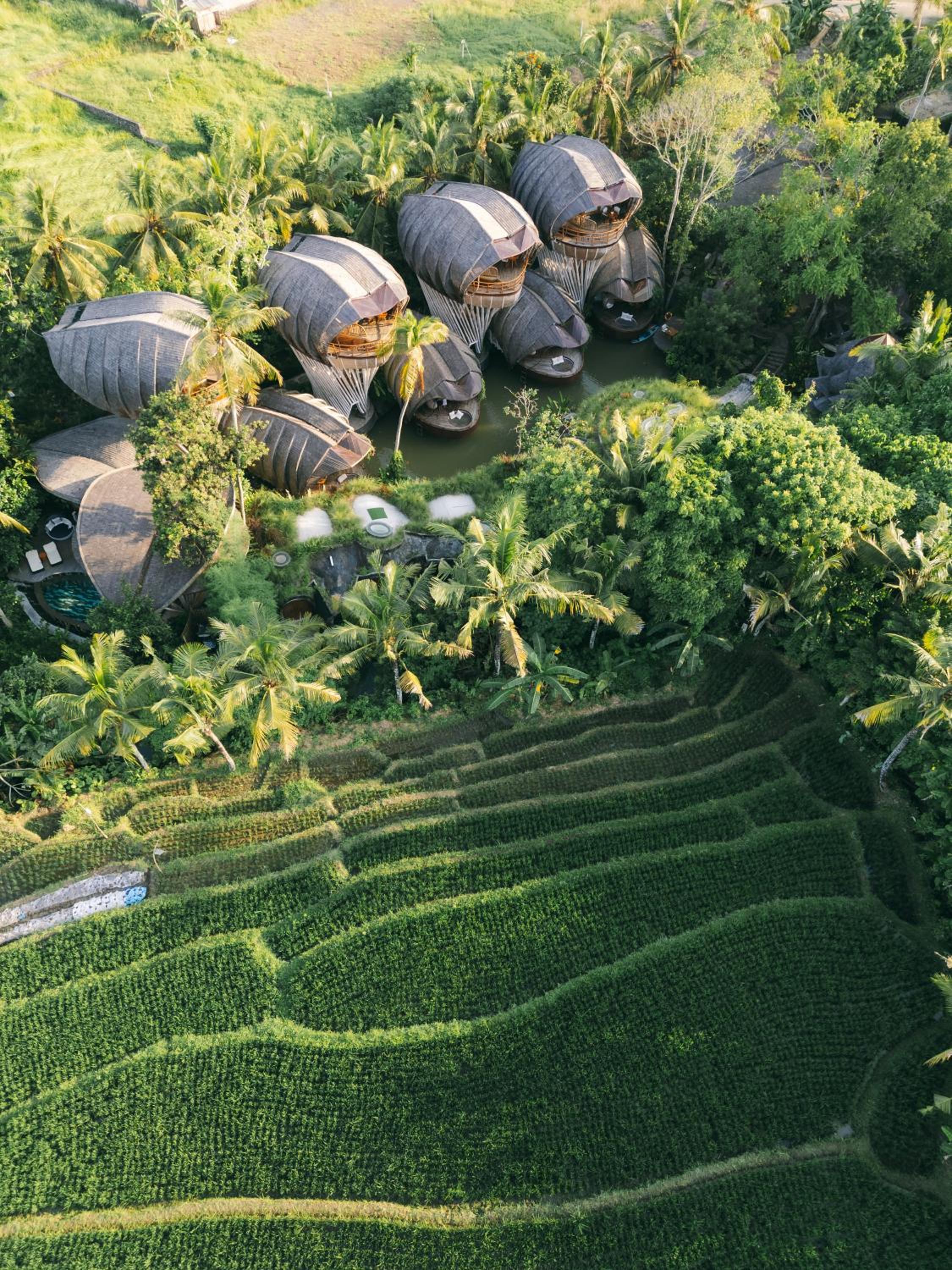 Ulaman Eco Luxury Resort 111