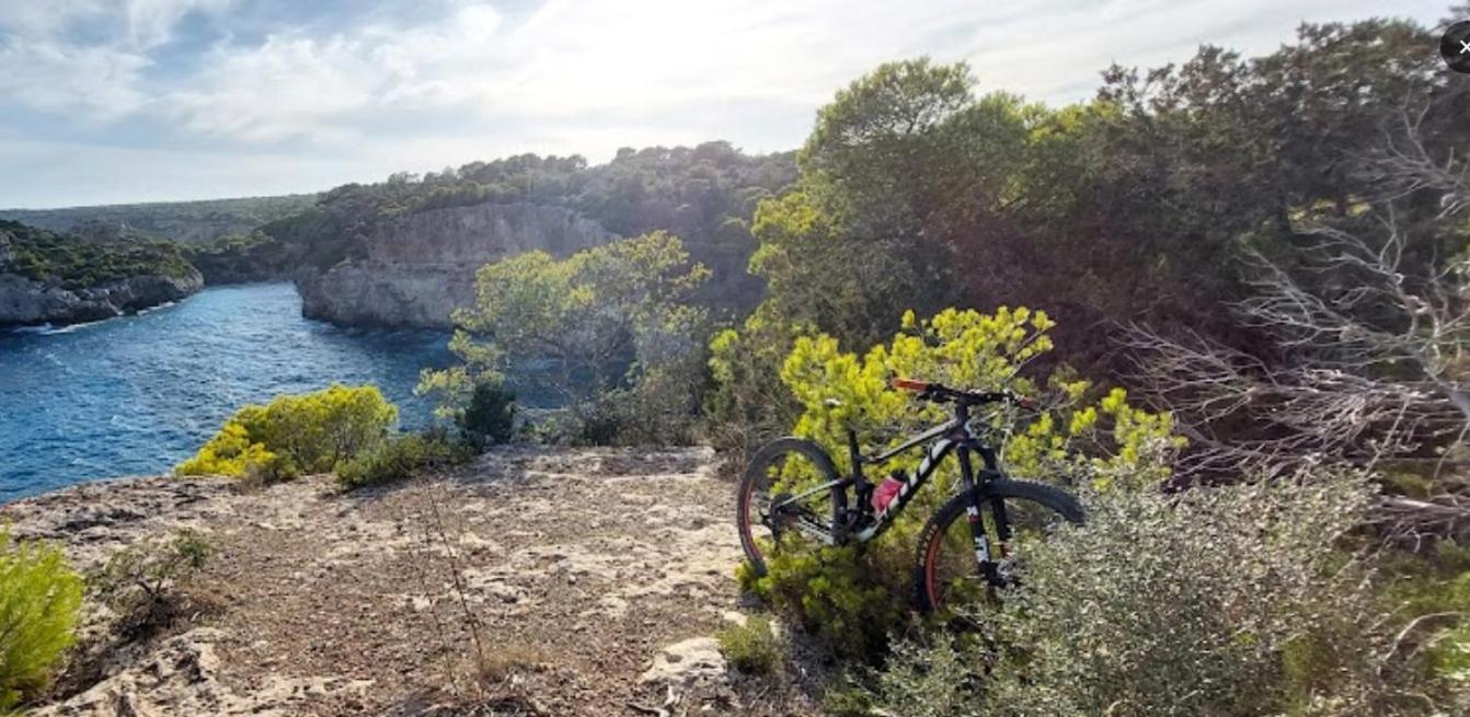 Finca Sa Sort