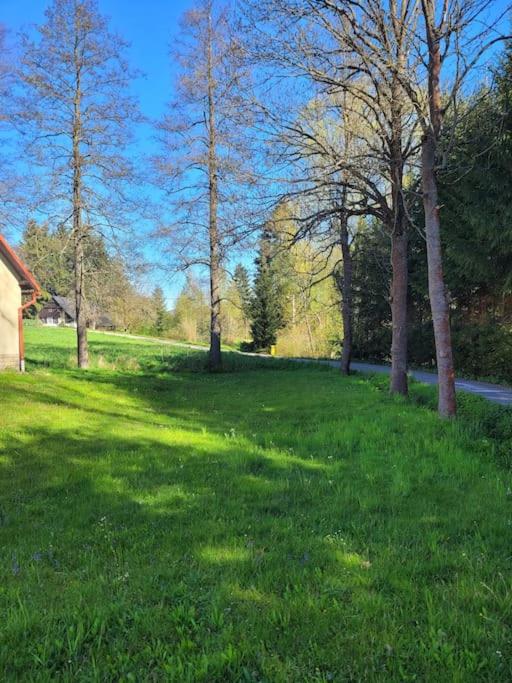 Domov na horách - Krkonoše - horký sud, pergola, dětské hřiště - celý dům