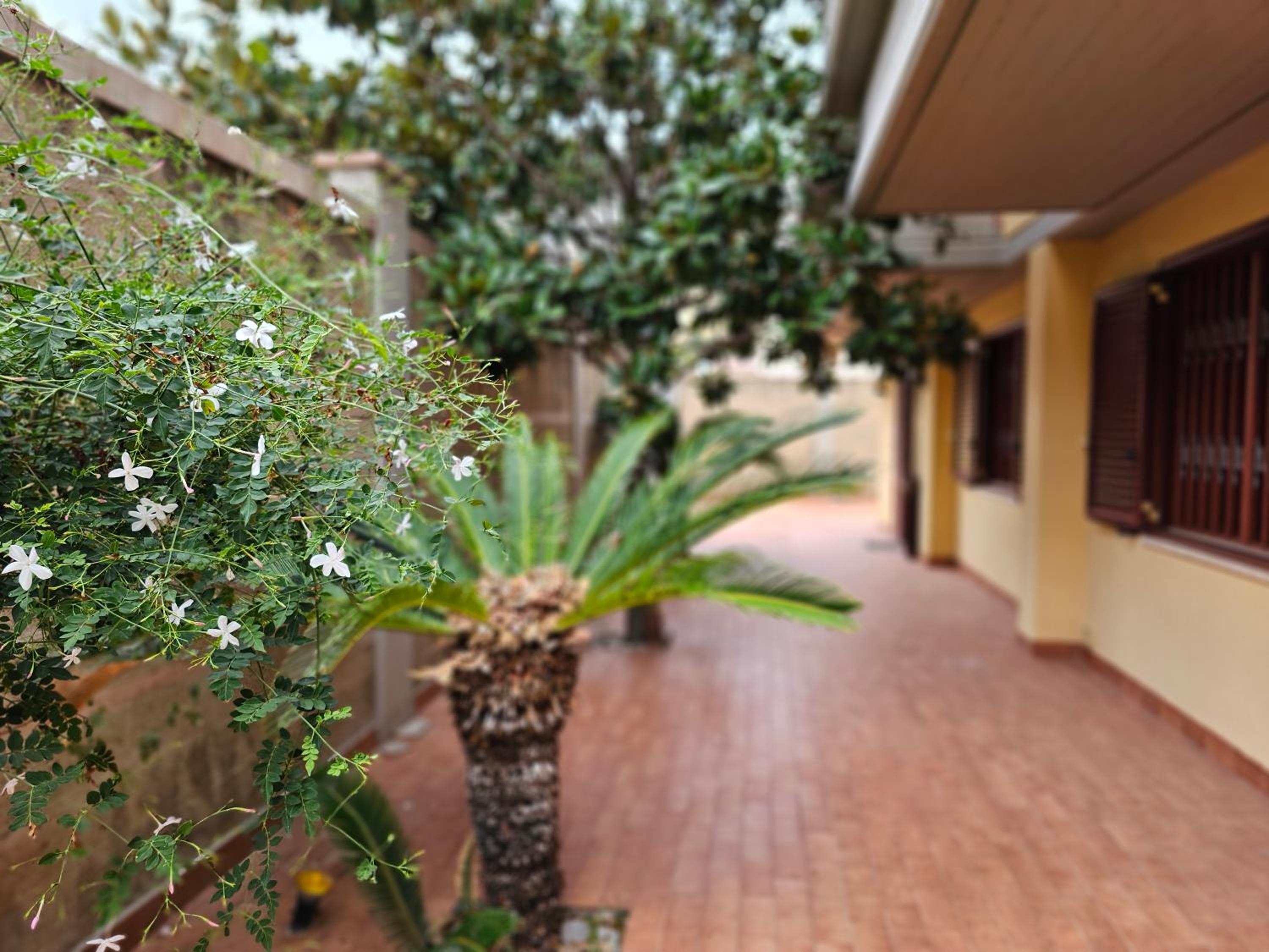 Villa Rosa