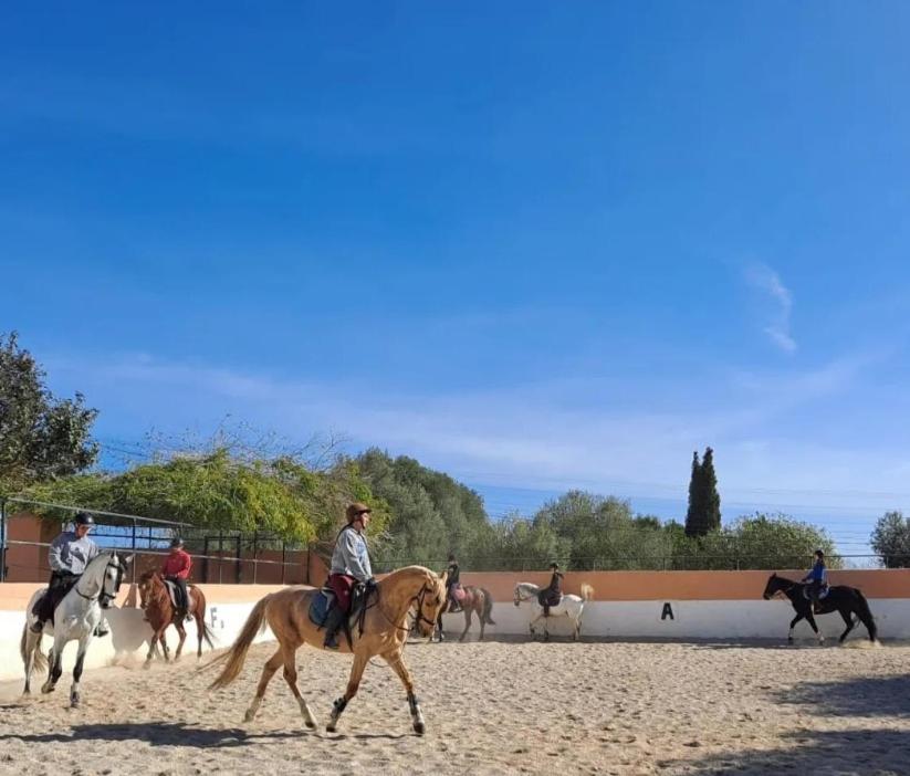 Finca Sa Sort