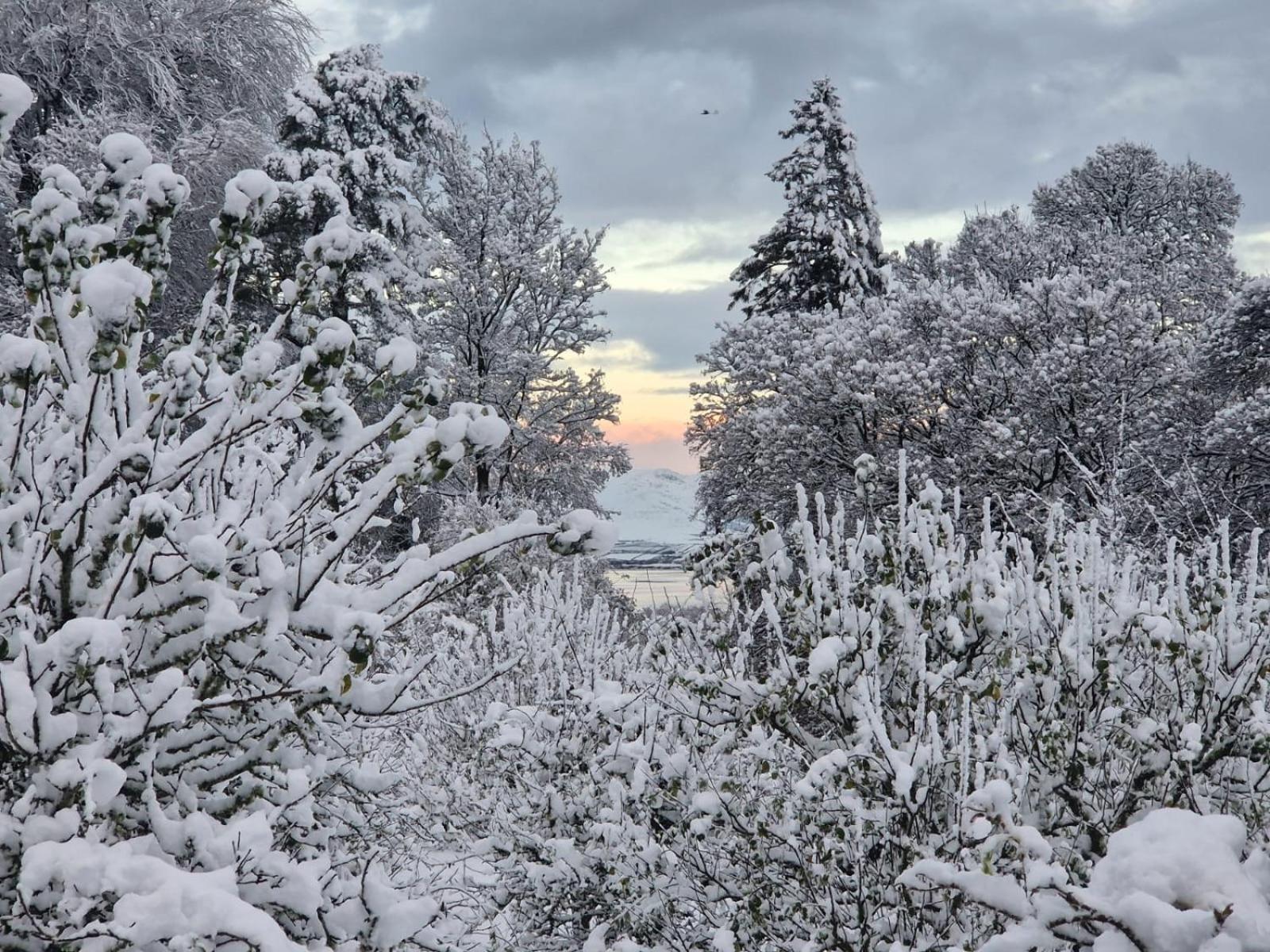Roberts’ Cottage view 3