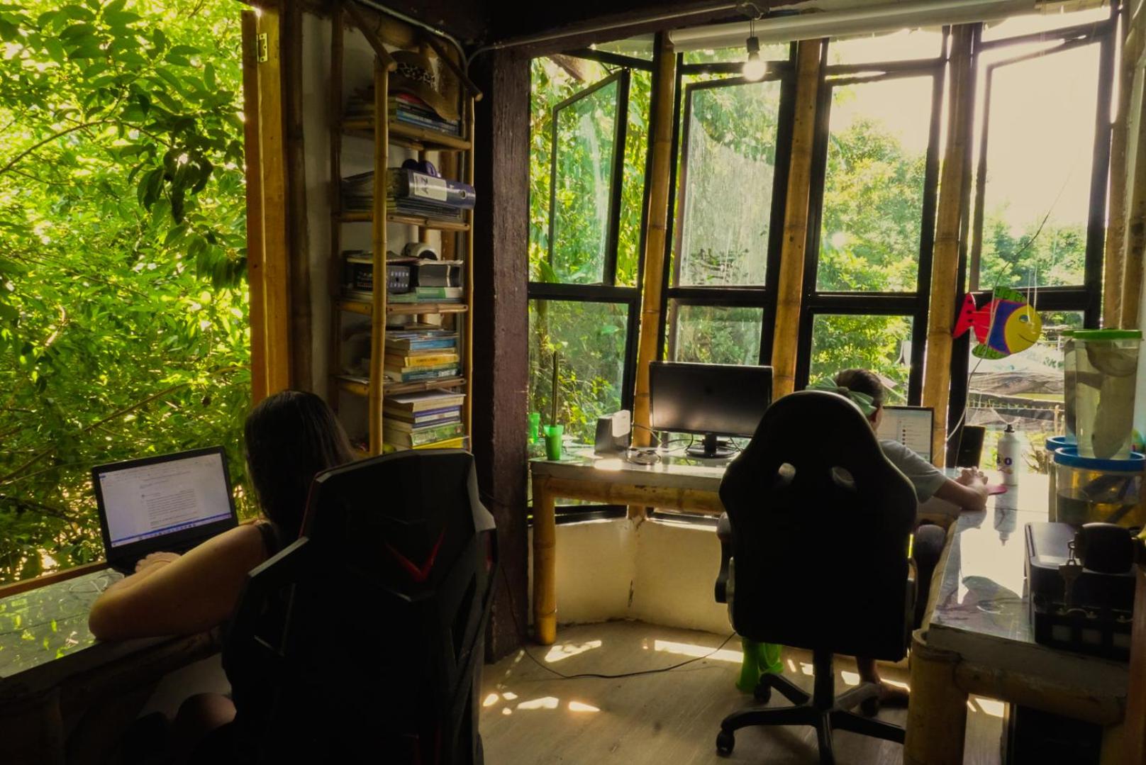 Bio Coliving Tayrona -Espacio para vivir trabajar y descansar en naturaleza